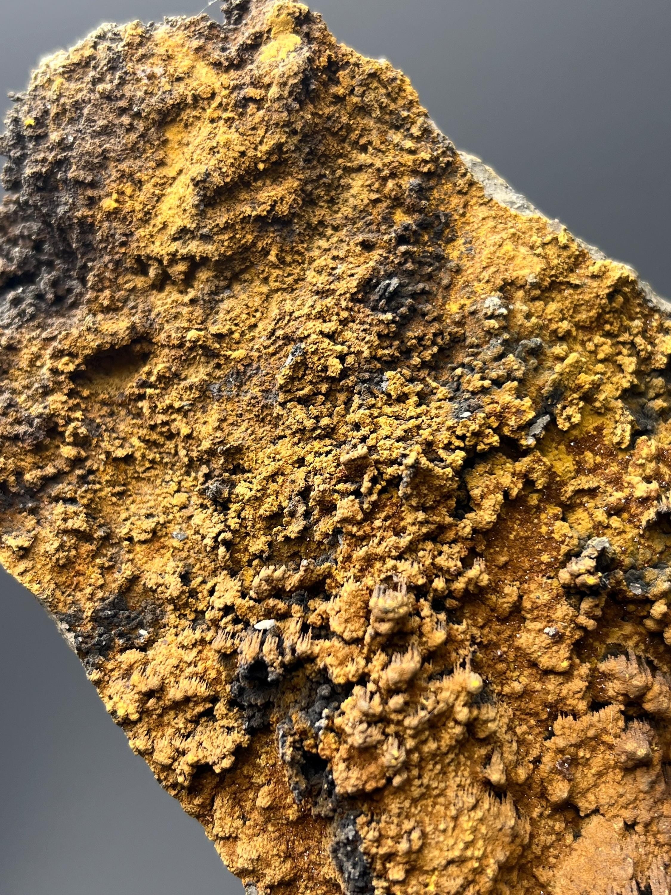 Limonite With Small Stalactites Goethite Specimen - Crystal Gemstone AE 