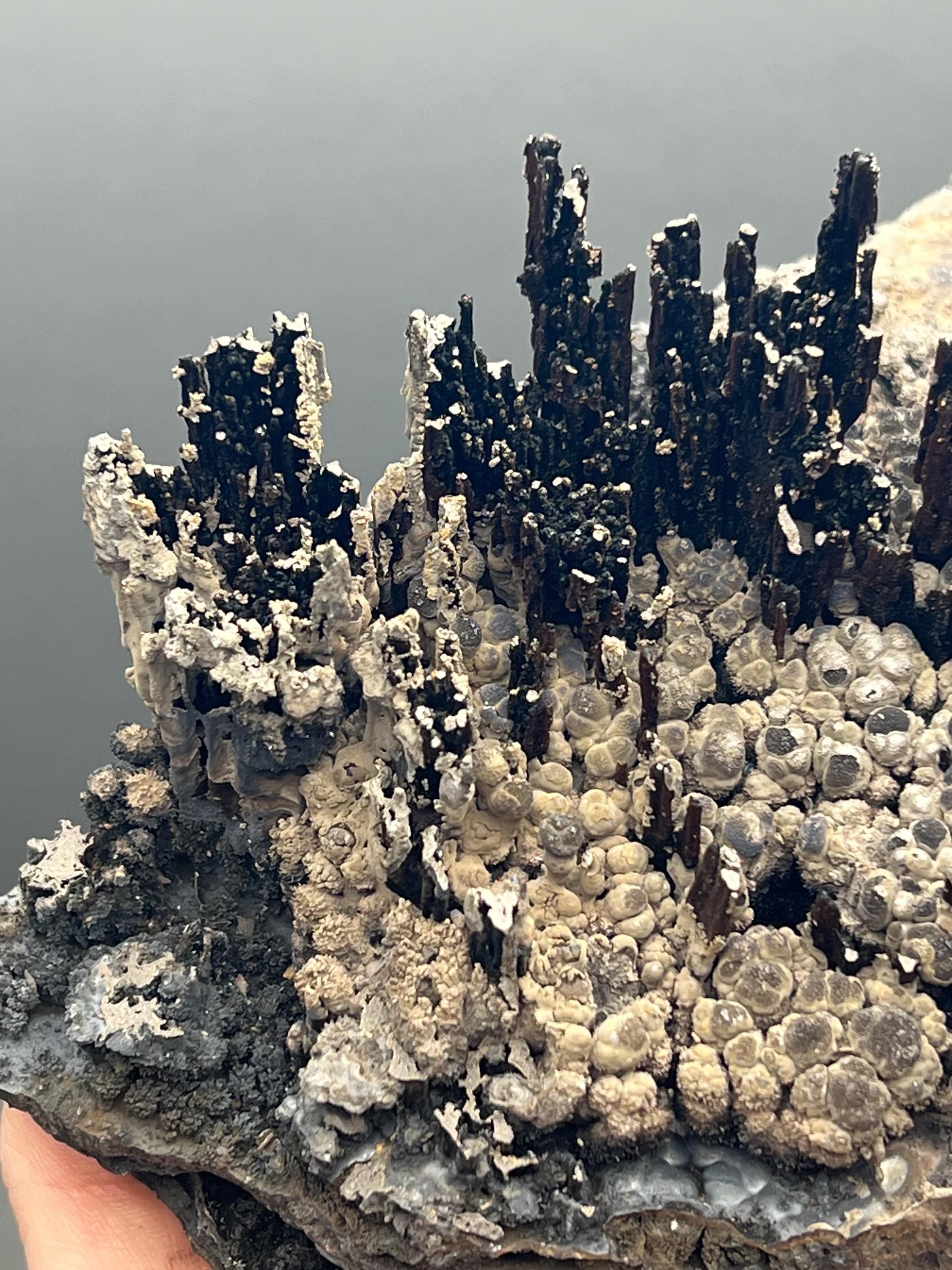 Museum Grade Limonite And Specularite On Stalactite Goethite - Crystal Gemstone AE 