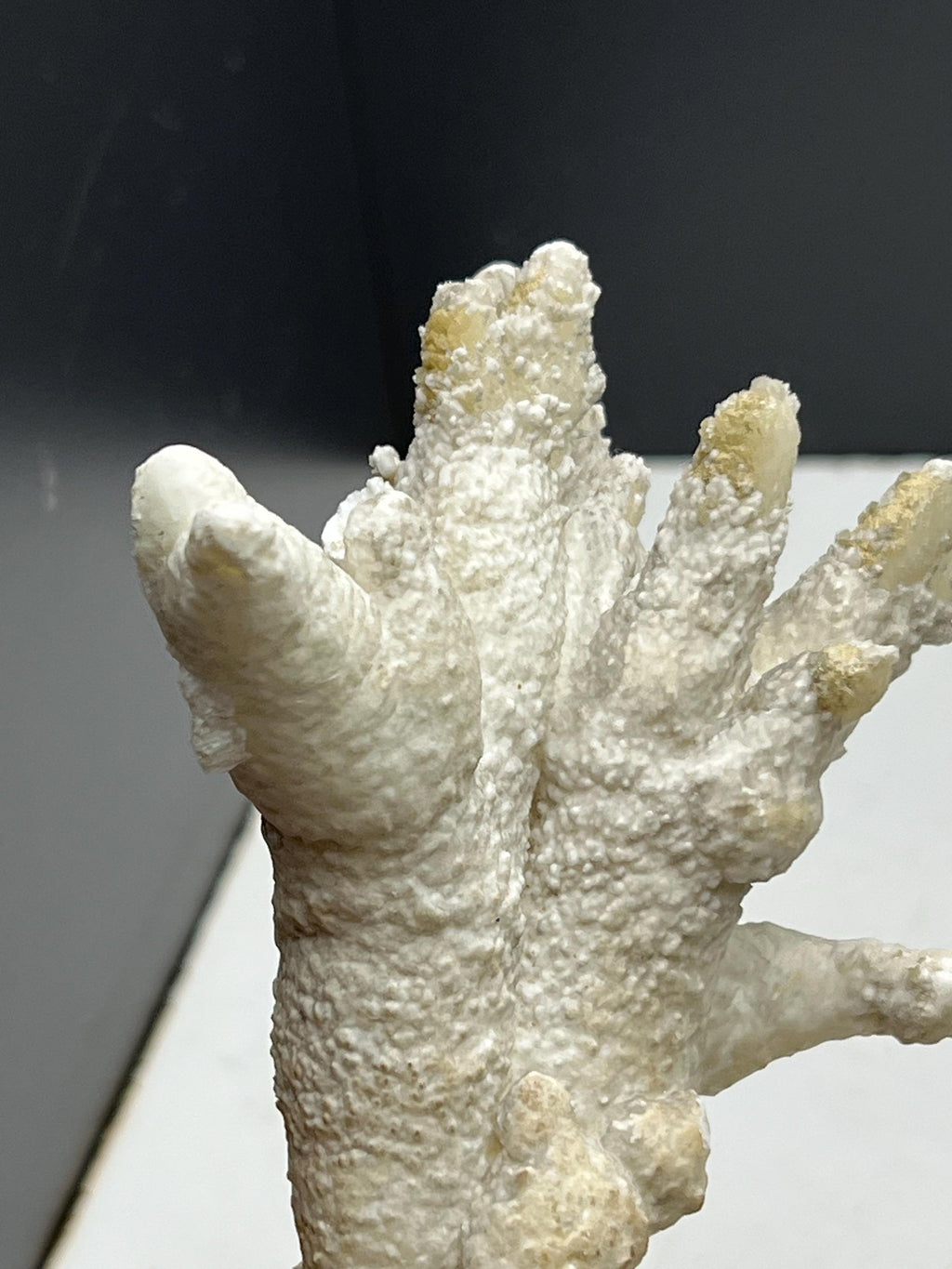 Very Special And Showy Stalactite Aragonite Mineral, From Turkey - Crystal Gemstone AE 