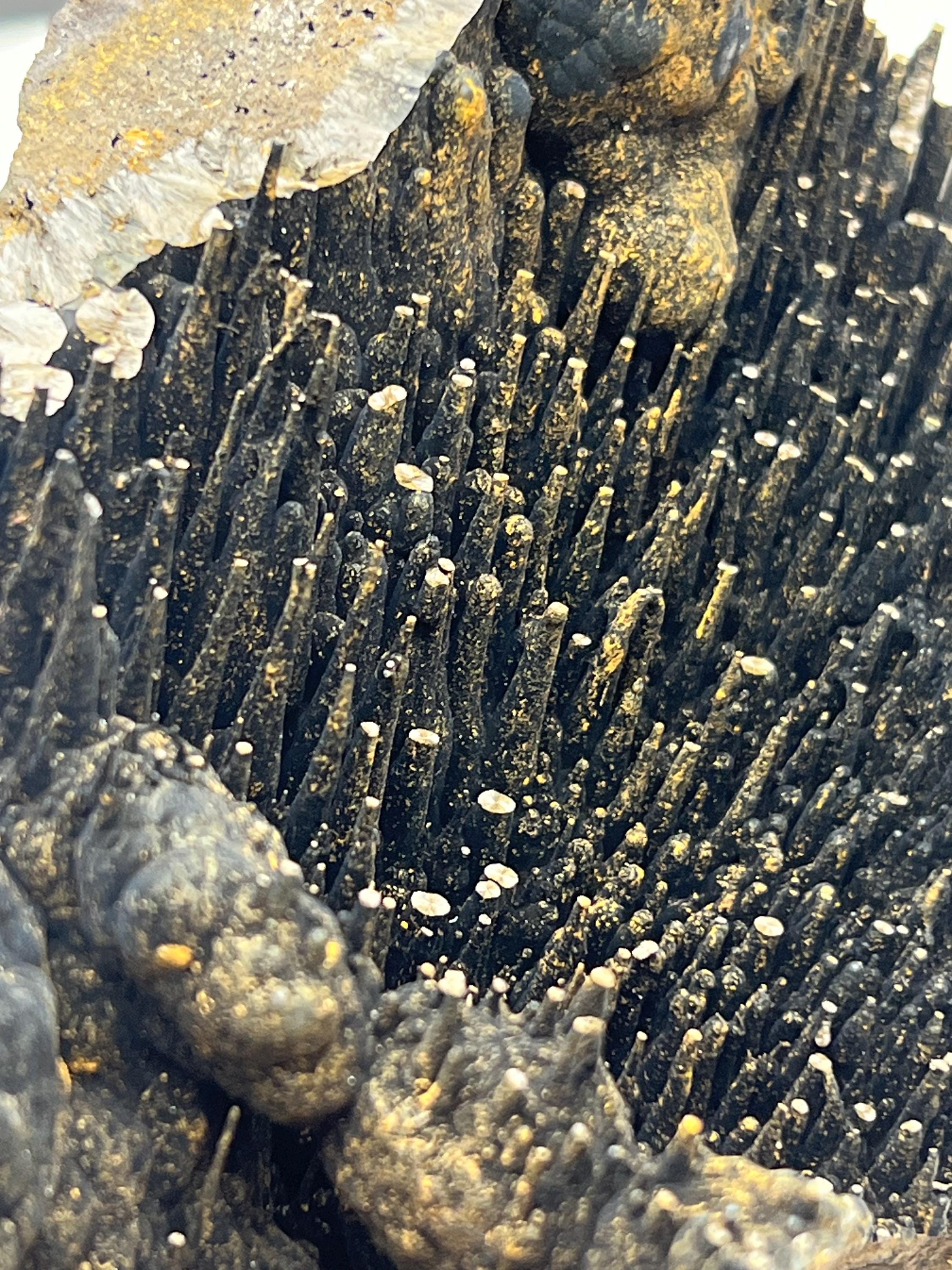 Museum quality, Extra Large Very showy stalactite Goethite specimen, Special Collections Piece - Crystal Gemstone AE 