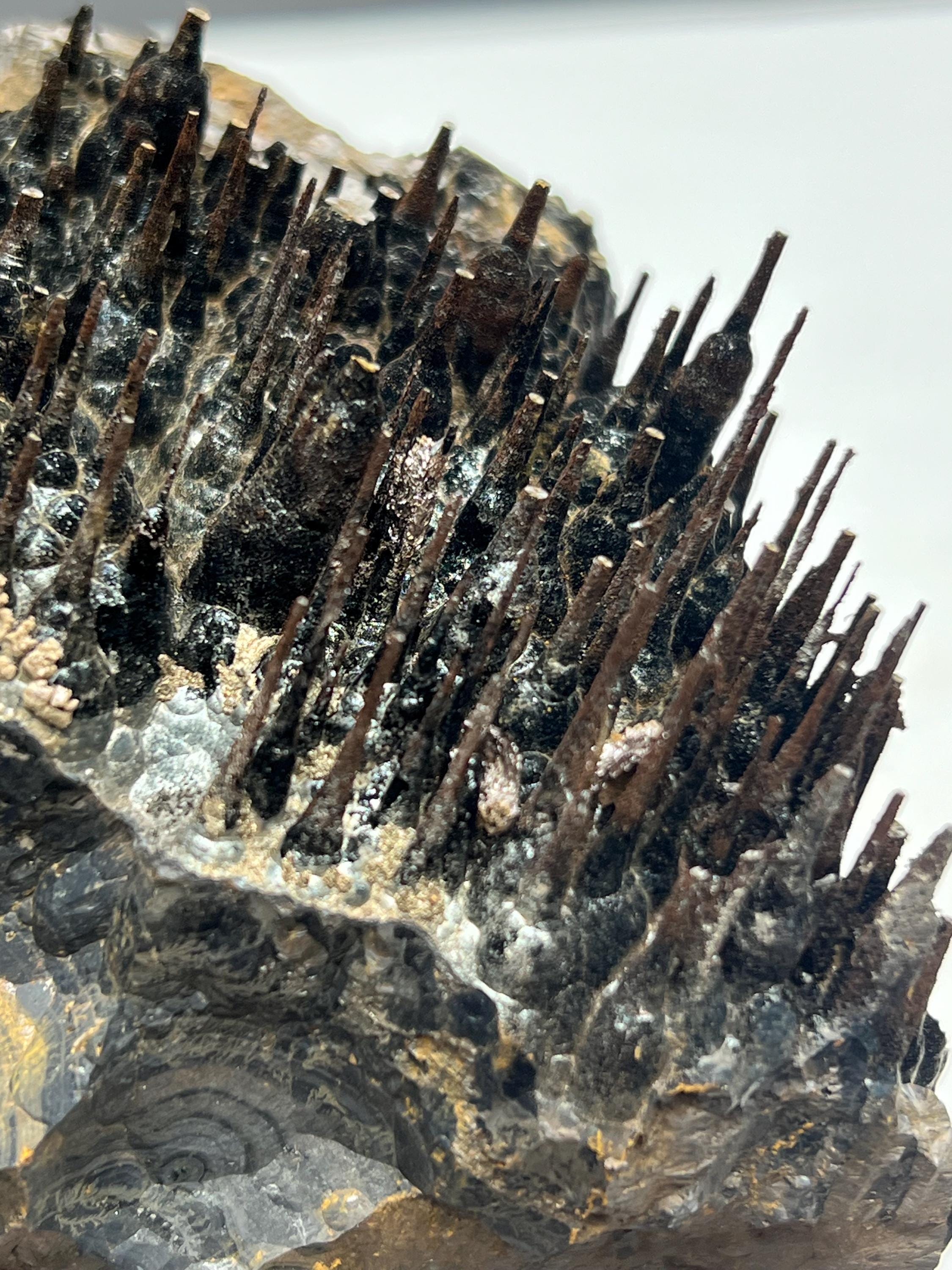 Museum quality, Very showy limonite and specularite on stalactite Goethite, special collections piece - Crystal Gemstone AE 