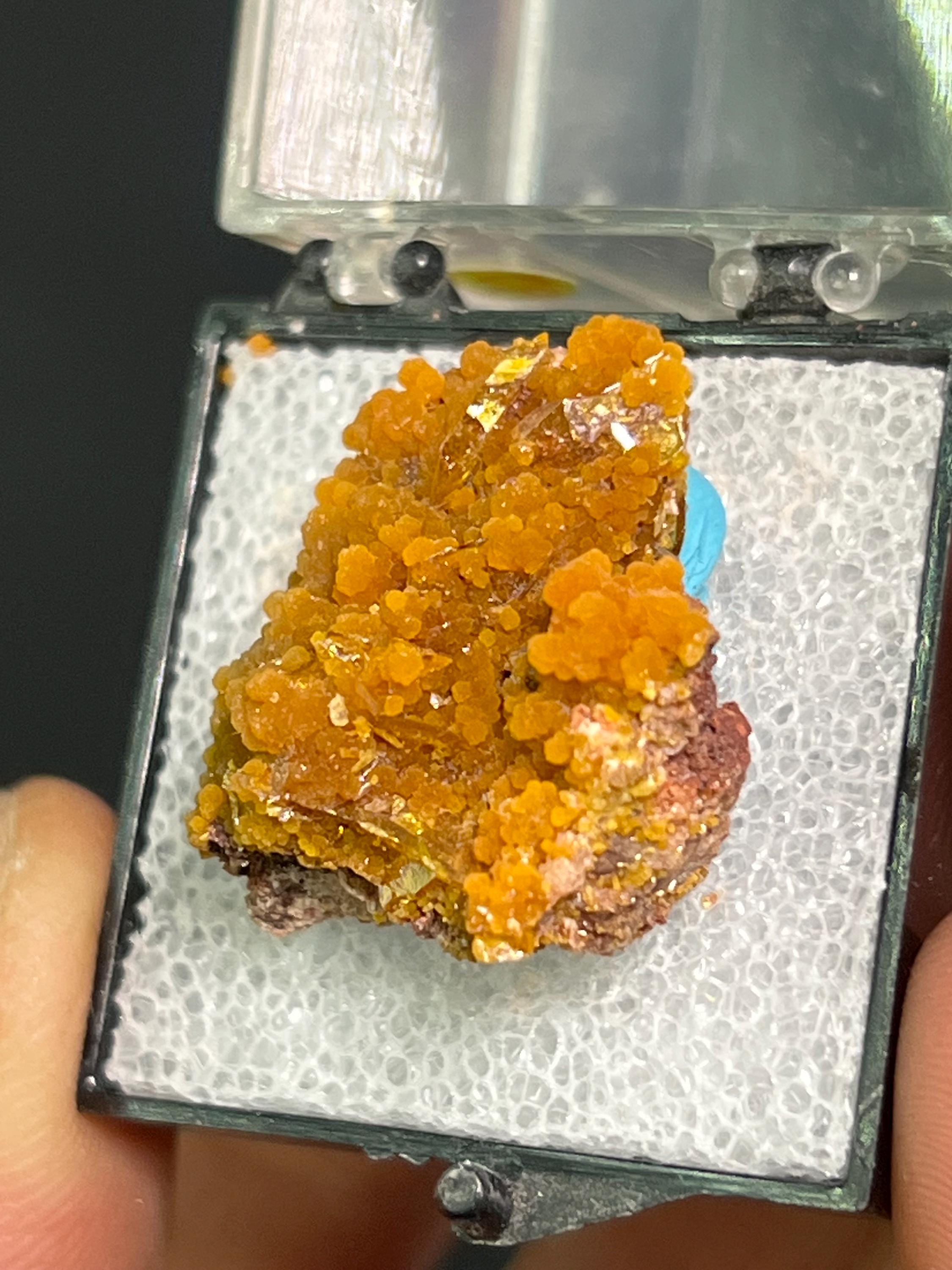 Museum Grade! Wulfenite On Mimetite Specimen - Crystal Gemstone AE 