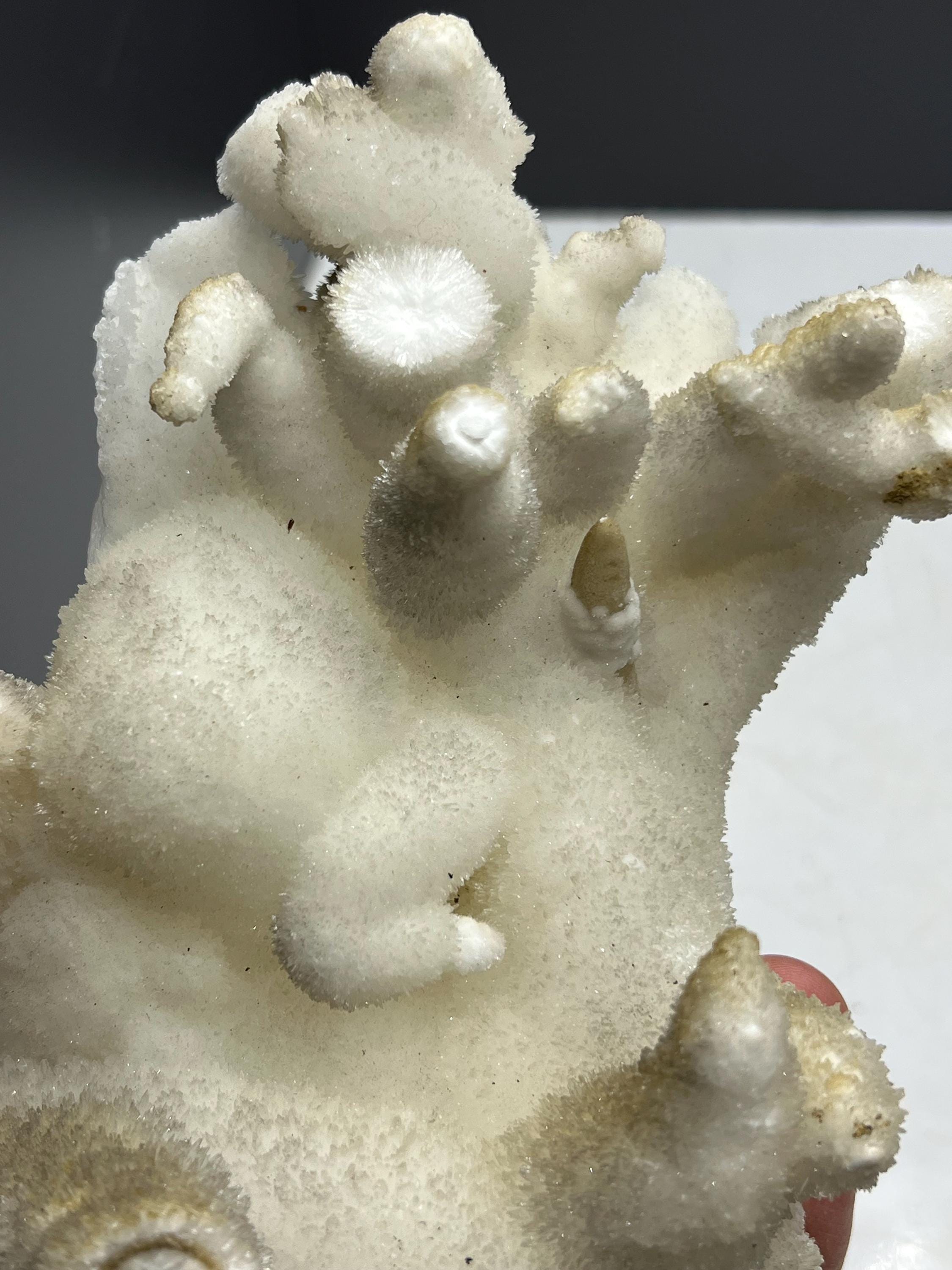 Special Formed Large Size Stalactite Aragonite Mineral, From Turkey - Crystal Gemstone AE 