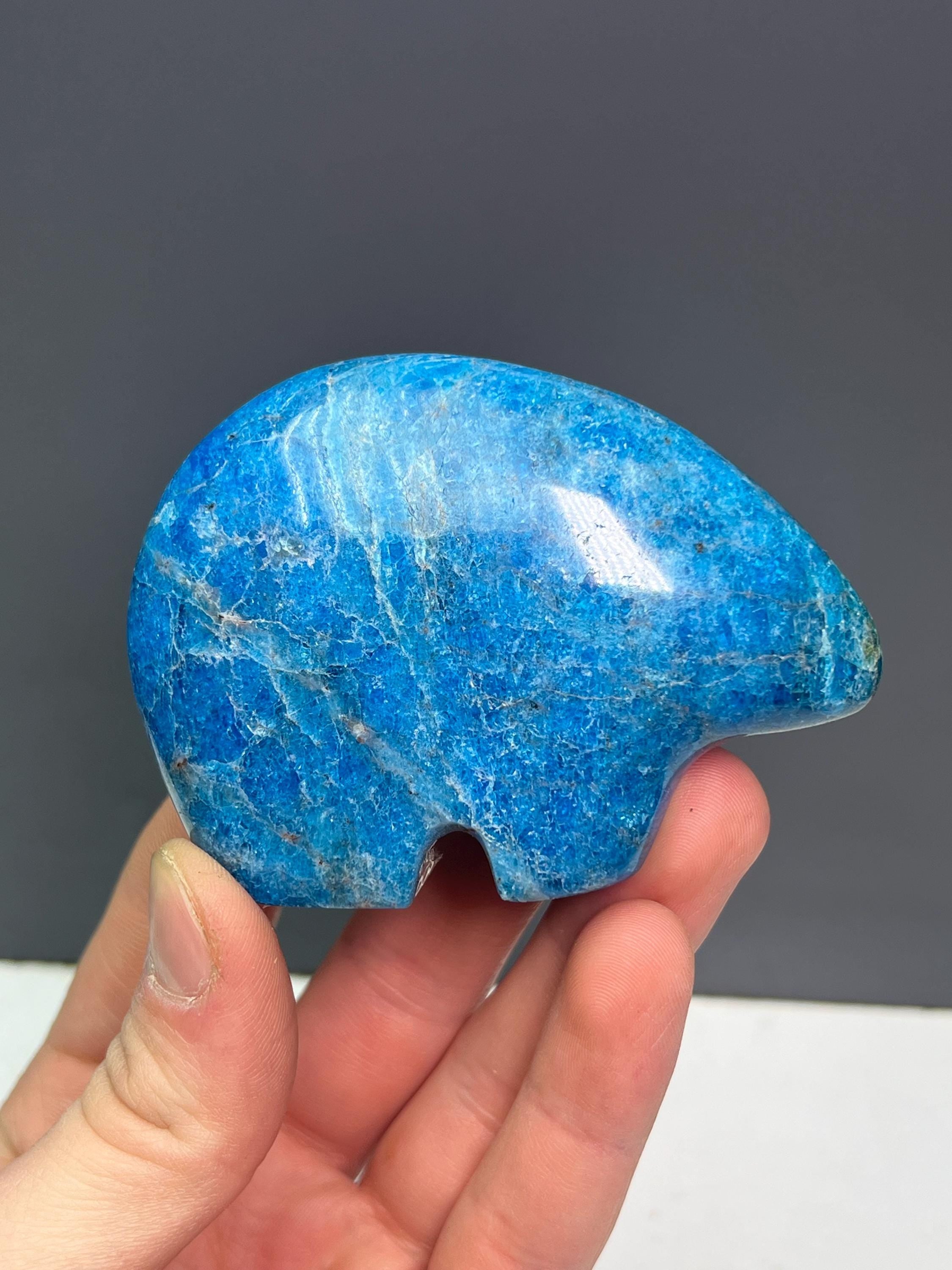 Blue Apatite Bear Totem - Crystal Gemstone AE 