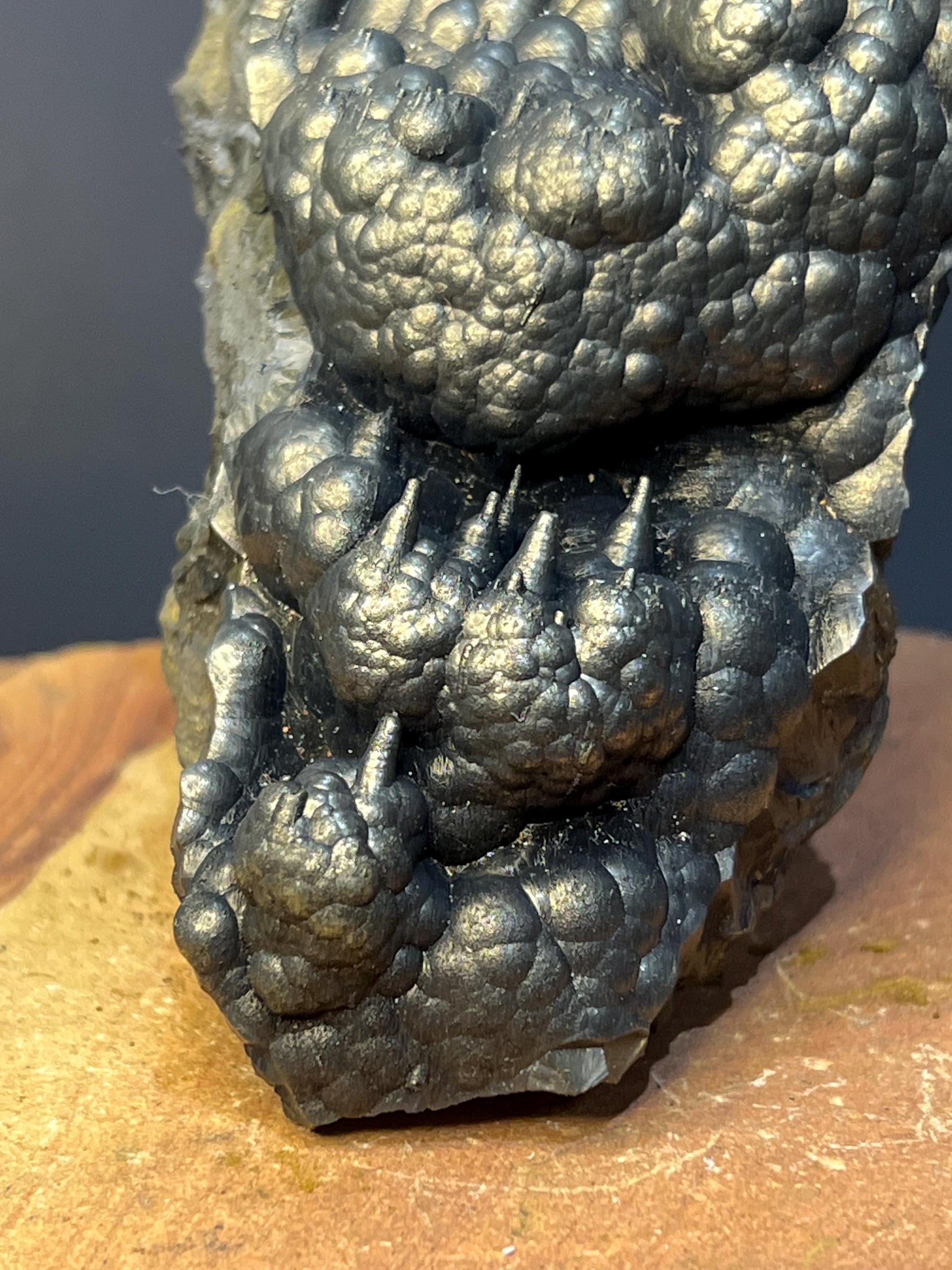 Museum Grade Very Showy Botryoidal And Stalactite Formation Golden Goethite Specimen - Crystal Gemstone AE 