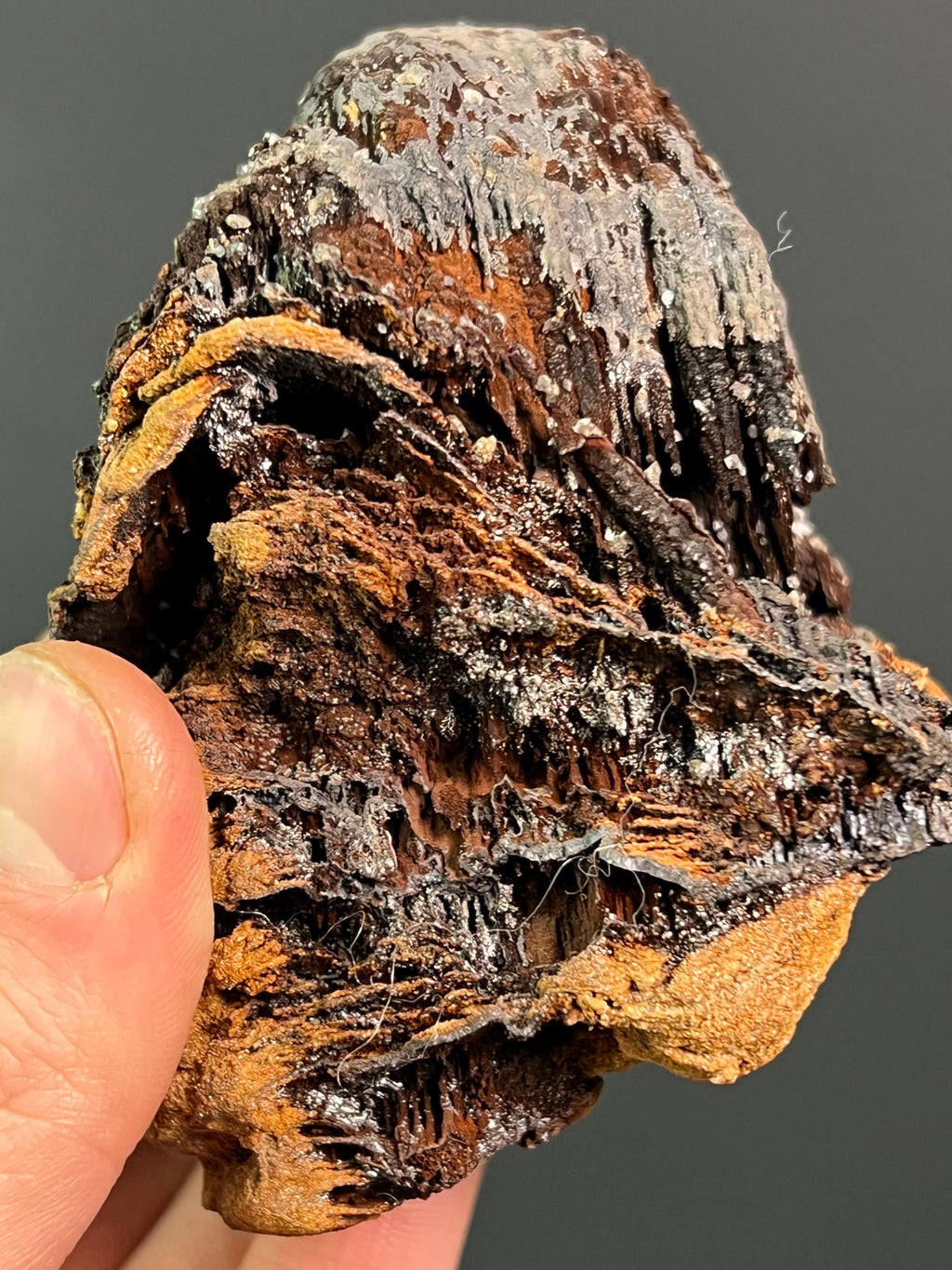 Museum Grade Limonite And Crystal Barite With Stalactite Goethite - Crystal Gemstone AE 