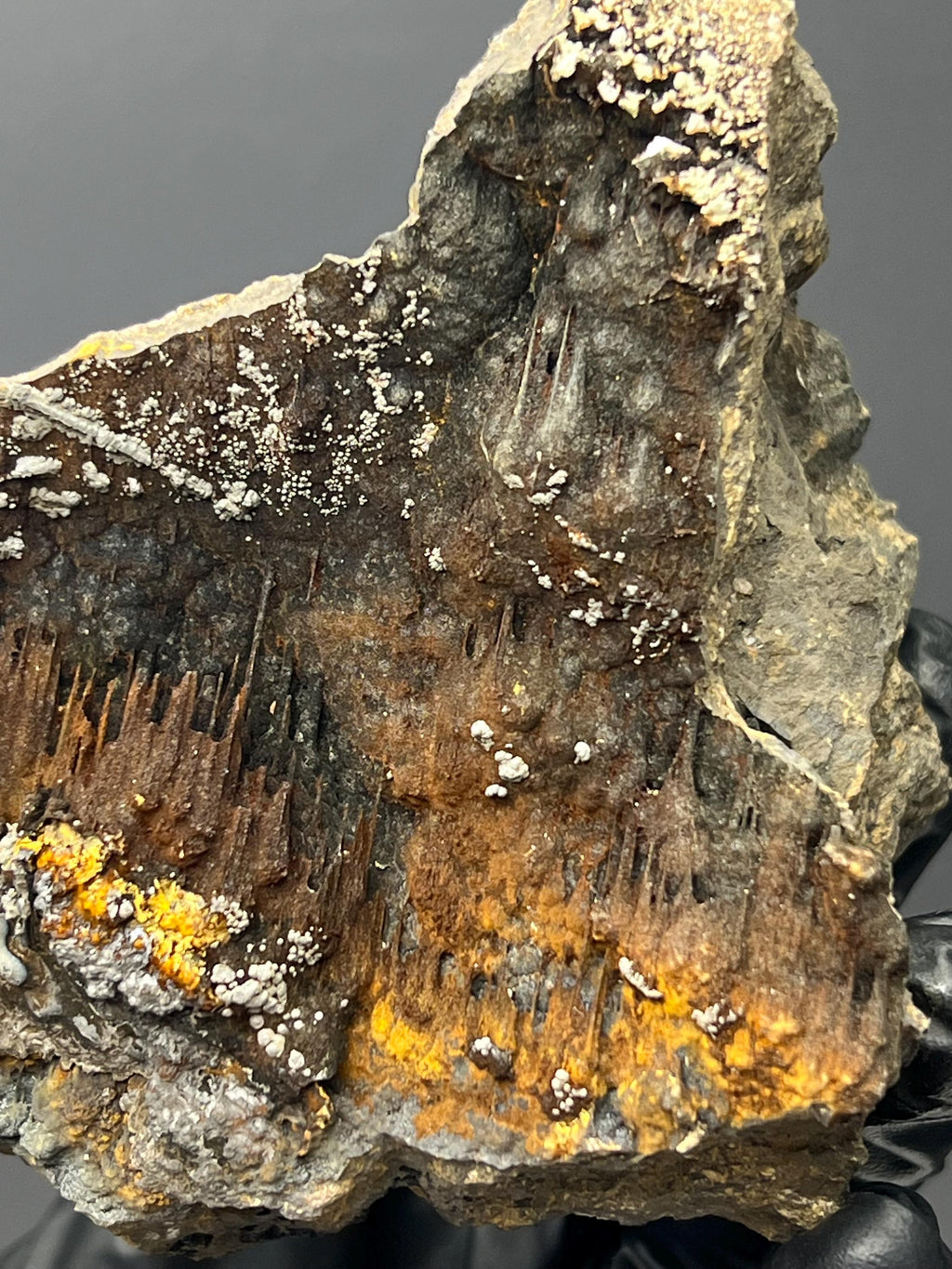 Museum Grade Limonite And Specularite On Stalactite Goethite - Crystal Gemstone AE 