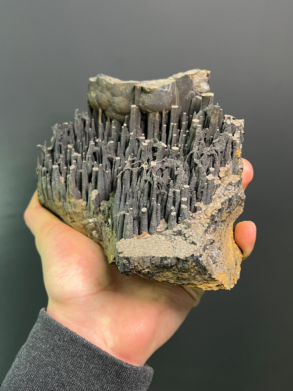 Museum Grade Stalactite Goethite Specimen - Crystal Gemstone AE 