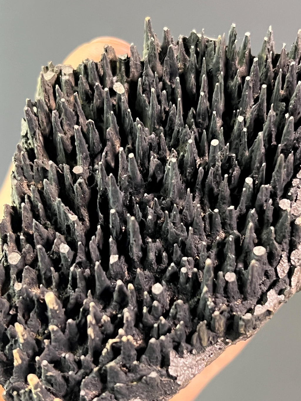Museum Quality Forest Stalactite Goethite - Crystal Gemstone AE 