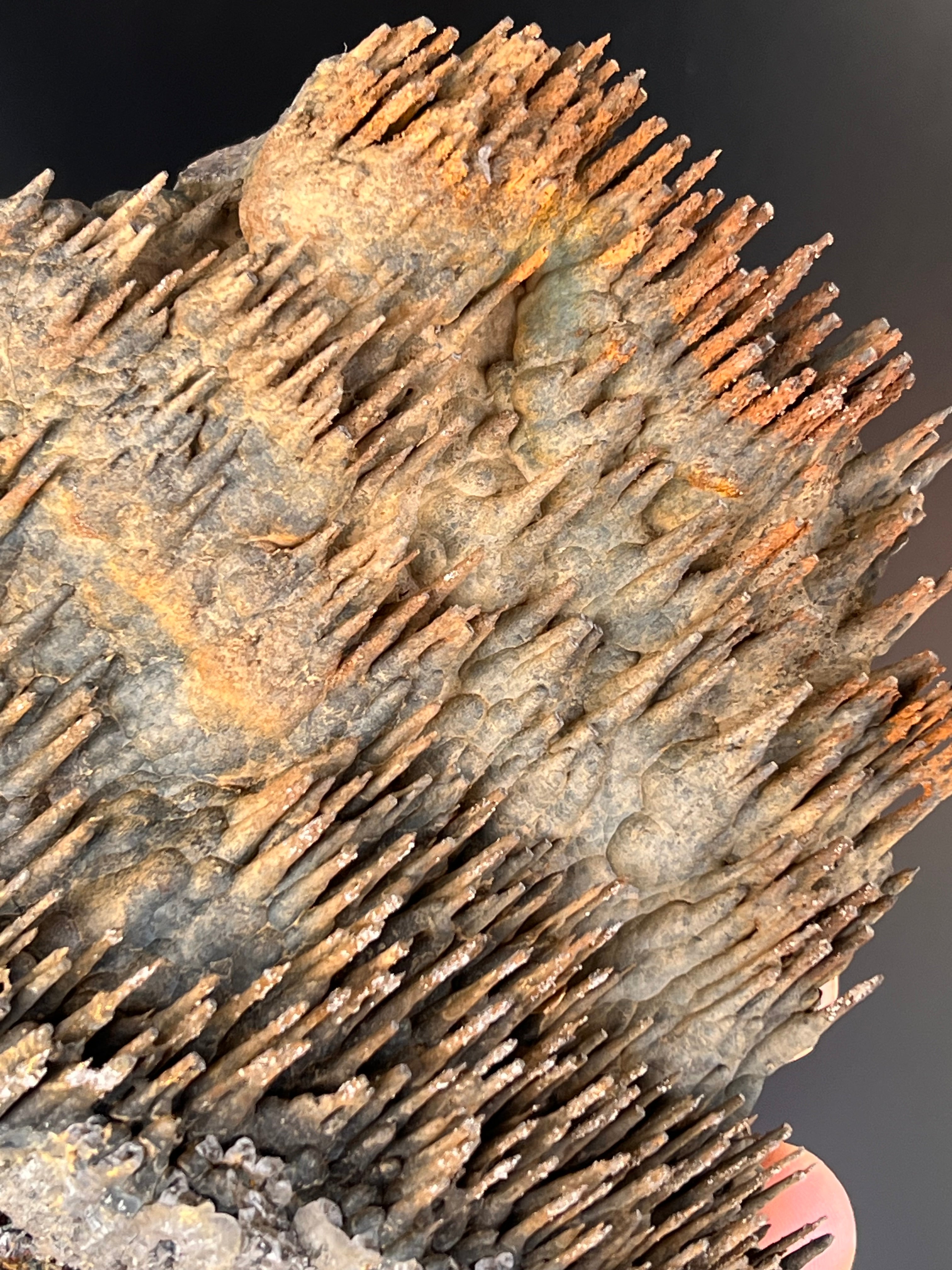 Museum Grade Limonite With Stalactite Goethite