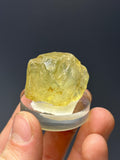 Yellow Topaz Specimen - Crystal Gemstone AE 