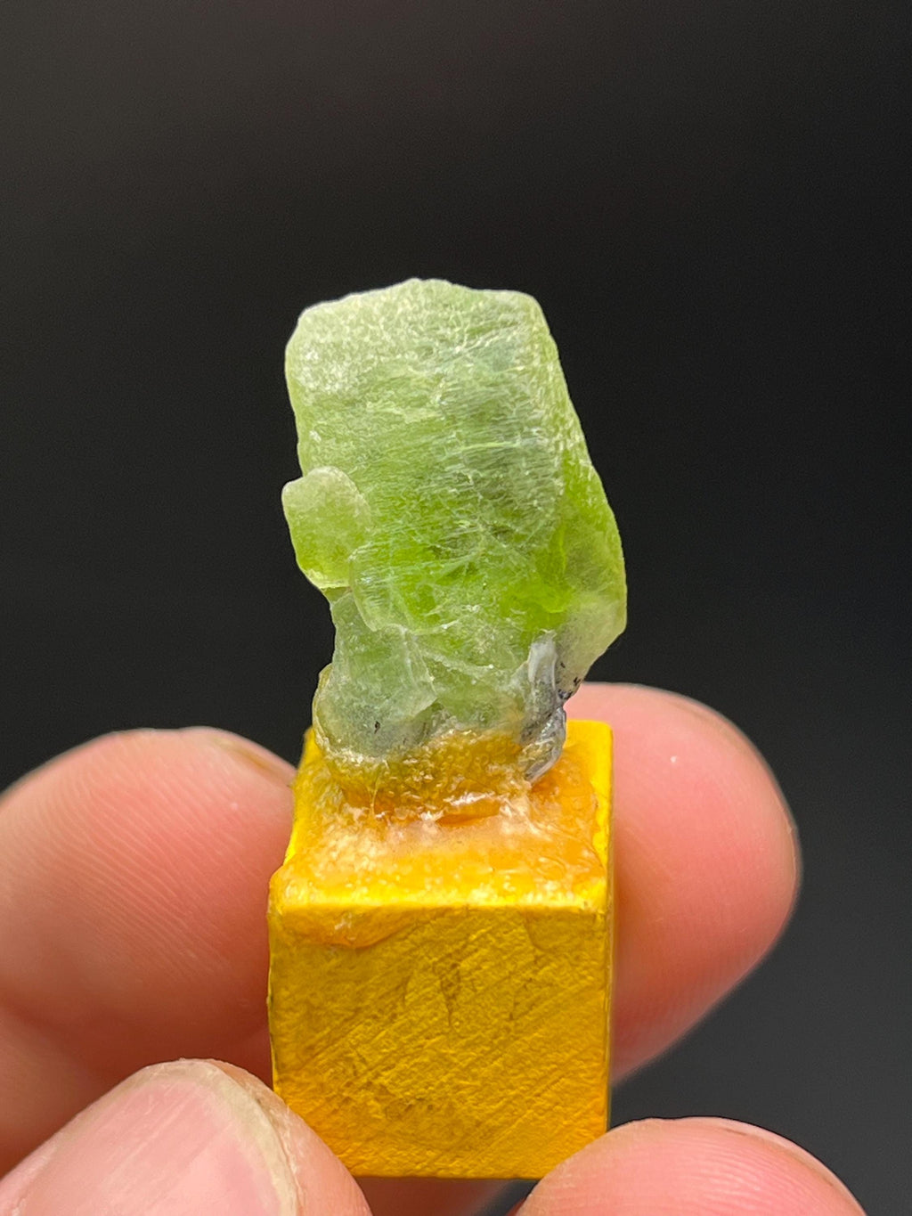 Peridot Specimen- Brazil - Crystal Gemstone AE 