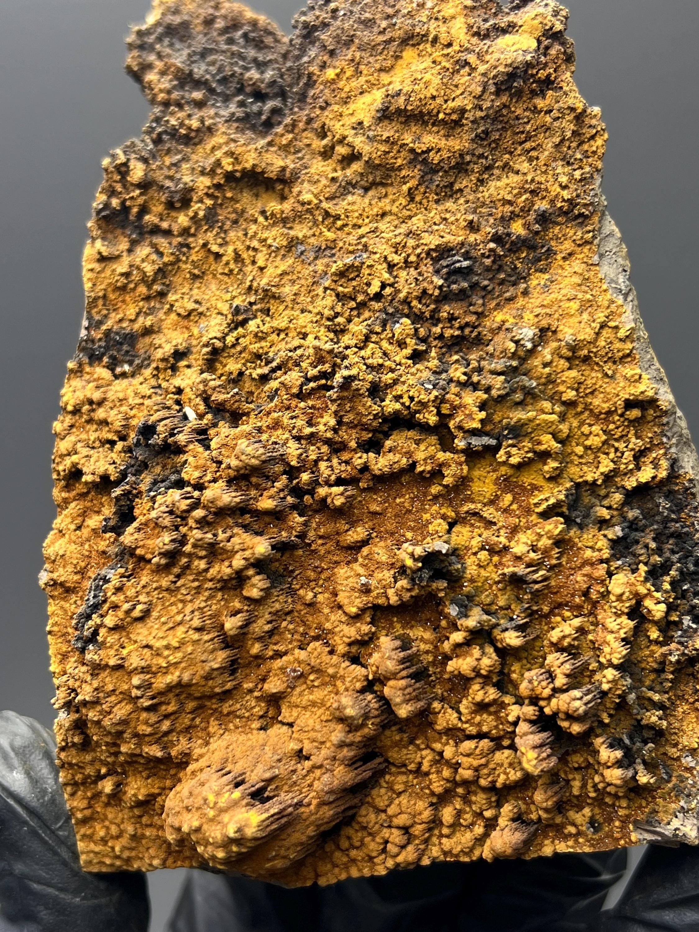 Limonite With Small Stalactites Goethite Specimen - Crystal Gemstone AE 
