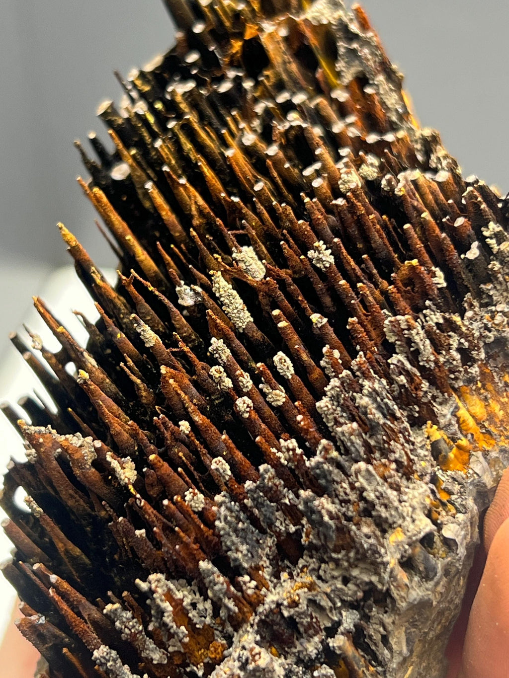 Museum quality, Very showy limonite and specularite with stalactite Goethite, special collections piece - Crystal Gemstone AE 