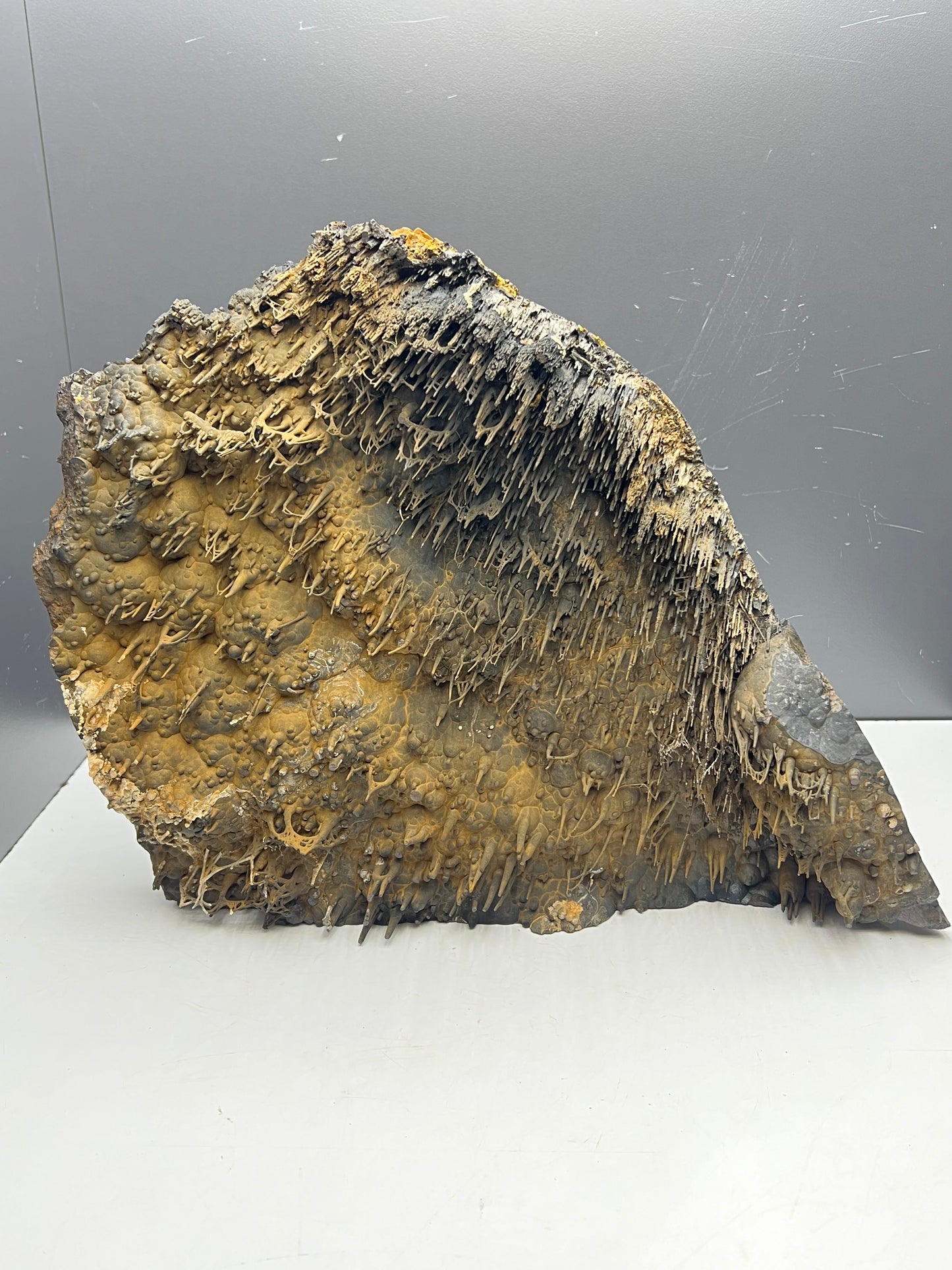 Very Unique! Museum Quality! Extra Big Stalactite Hematite