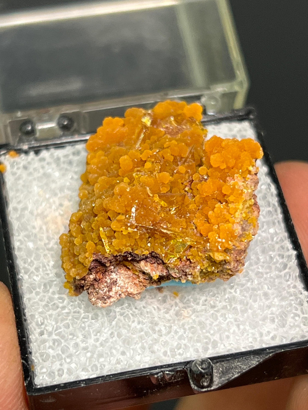 Museum Grade! Wulfenite On Mimetite Specimen - Crystal Gemstone AE 