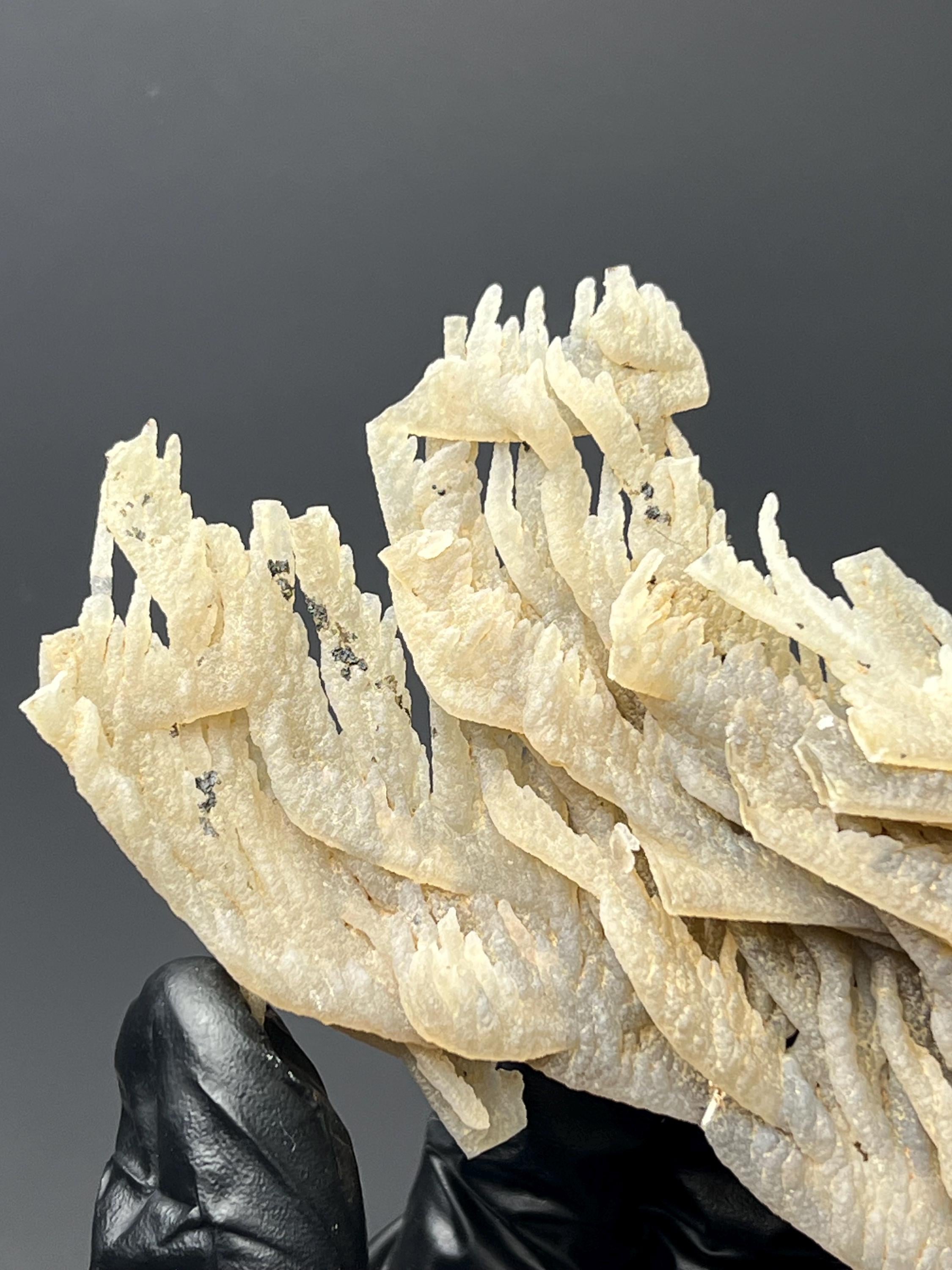 Special Stalactite Chalcedony Specimen - Crystal Gemstone AE 