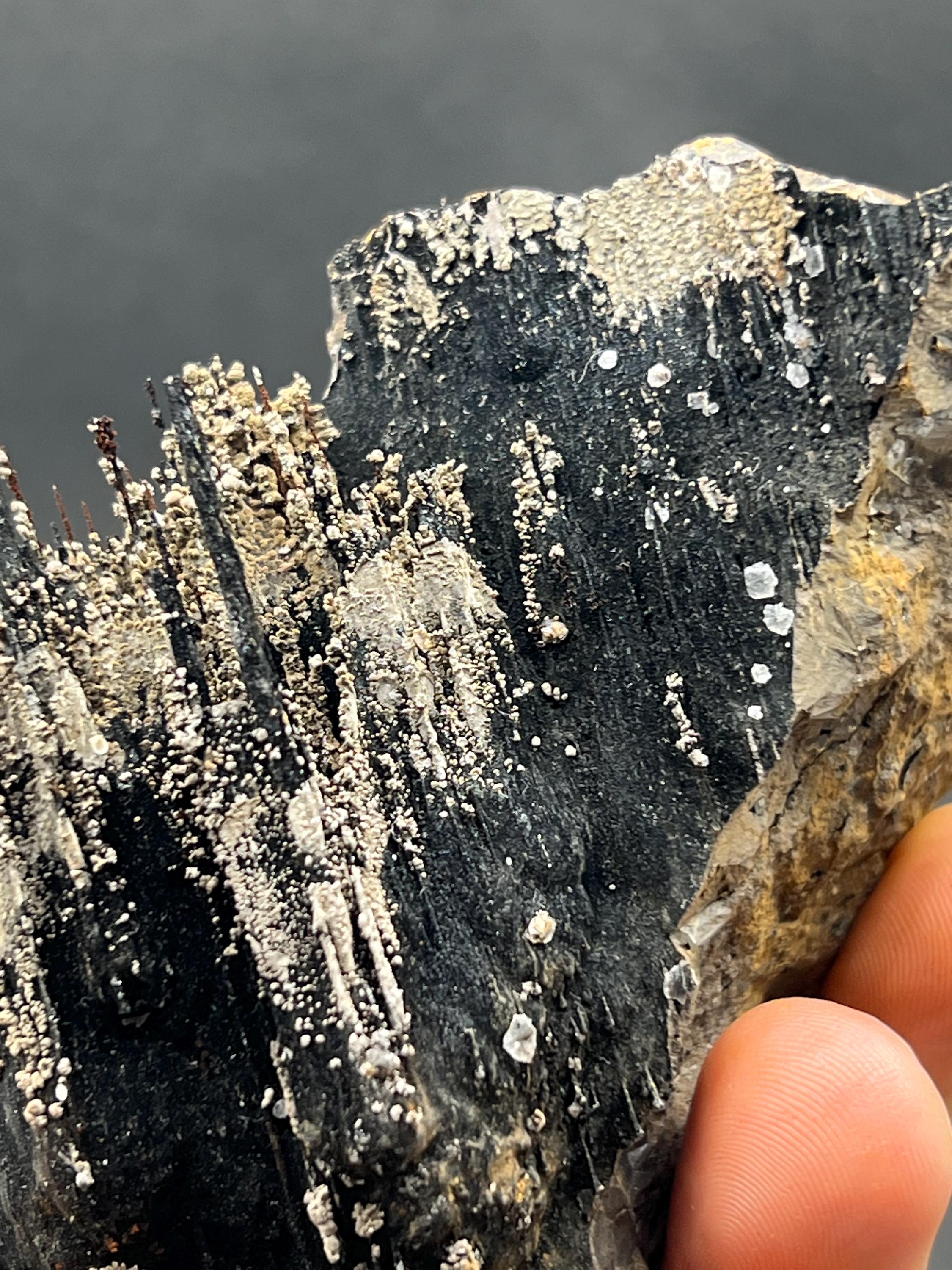 Showy Limonite And Specularite On Stalactite Goethite - Crystal Gemstone AE 