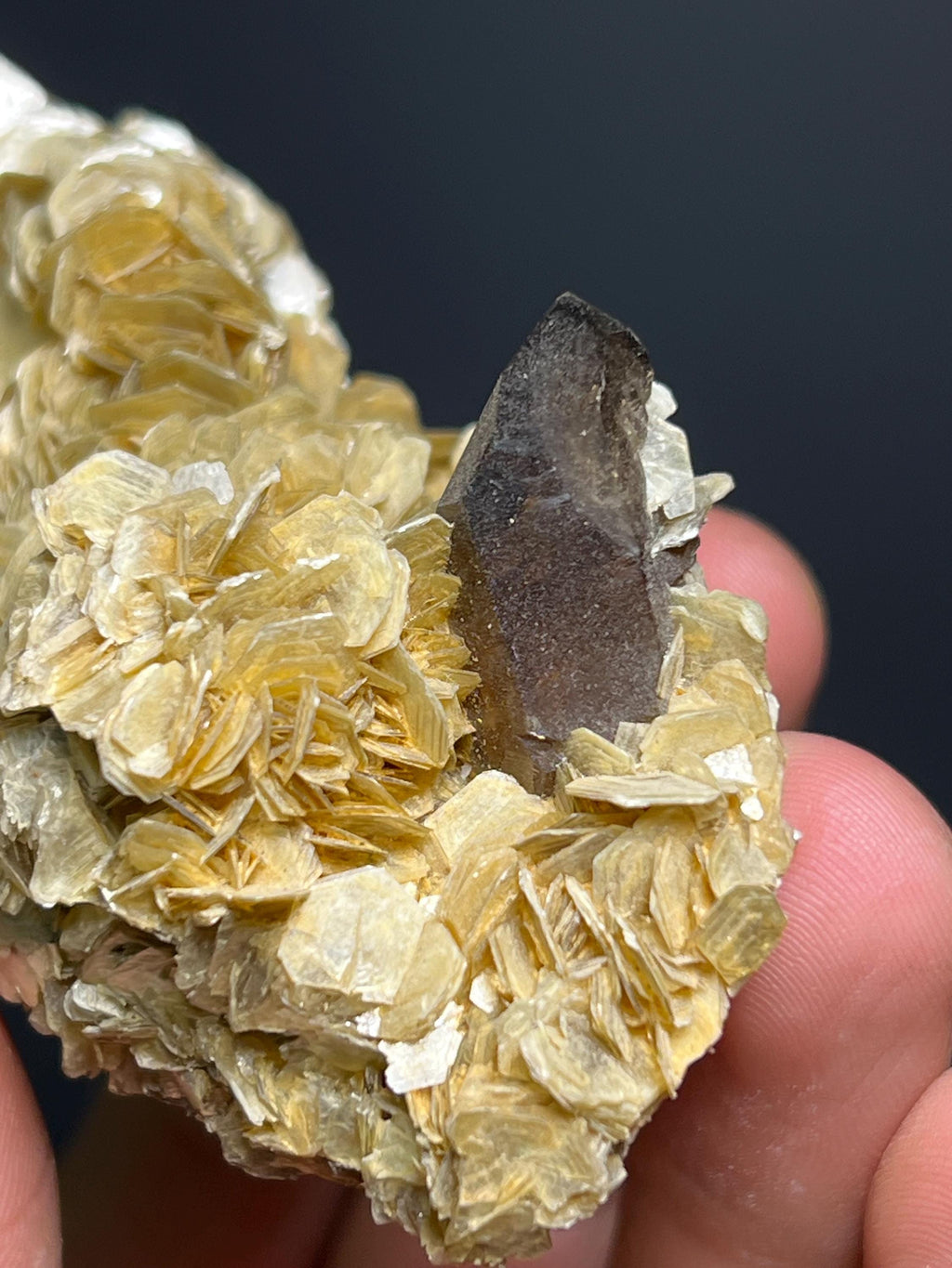 Muscovite With Smoky Quartz - Brazil - Crystal Gemstone AE 
