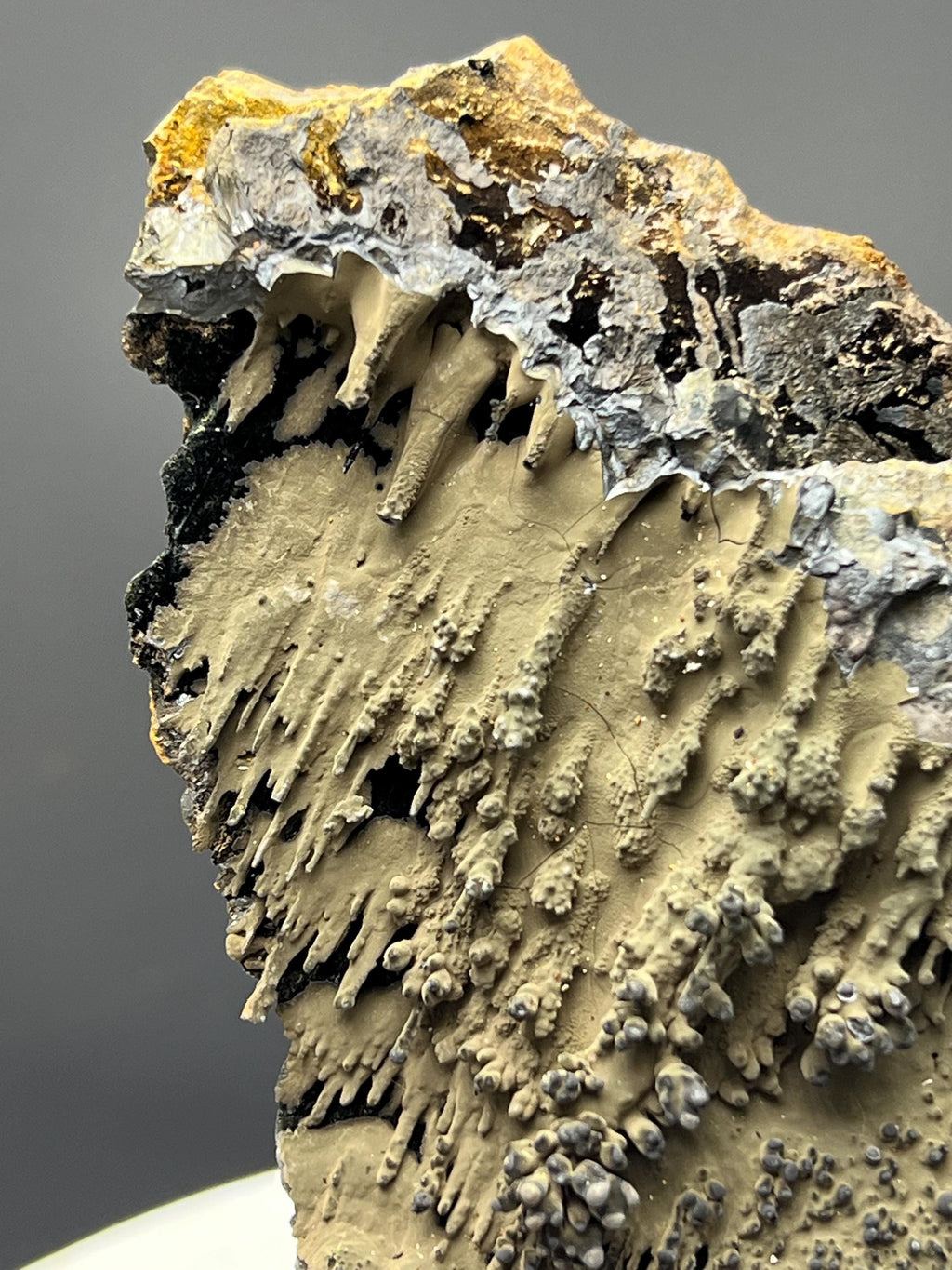 Very Special And Showy Specularite On Stalactite Goethite - Crystal Gemstone AE 