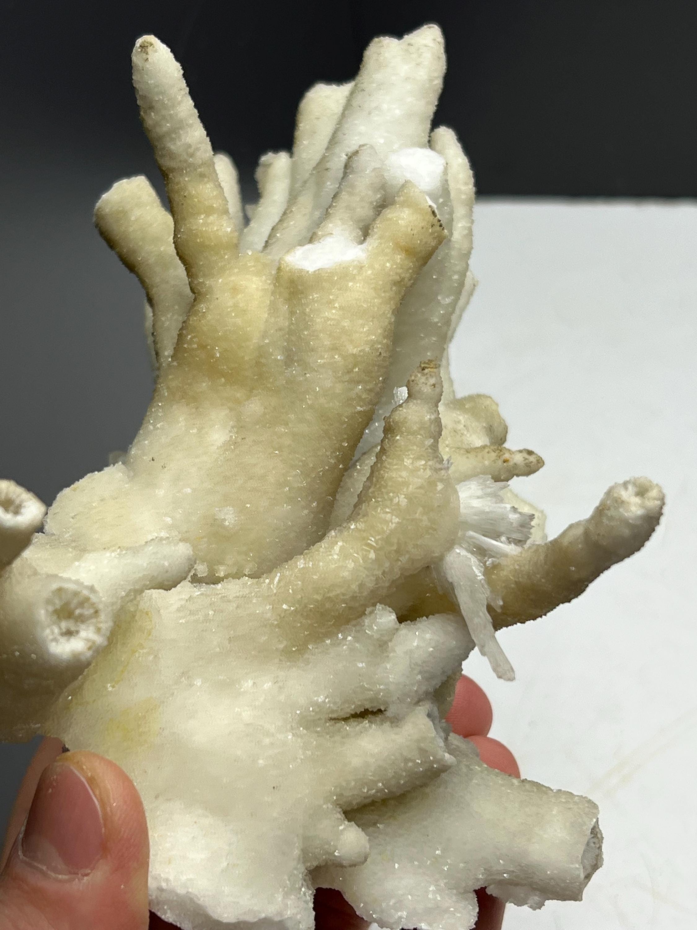 Very Special And Showy Stalactite Aragonite Mineral, From Turkey - Crystal Gemstone AE 