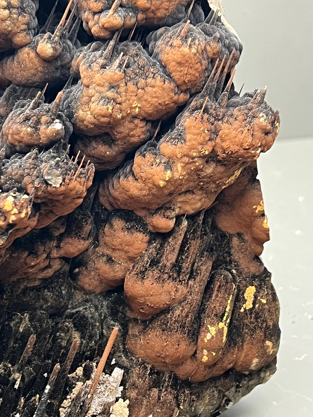 Limonite And Specularite On Stalactite Goethite Specimen - Crystal Gemstone AE 