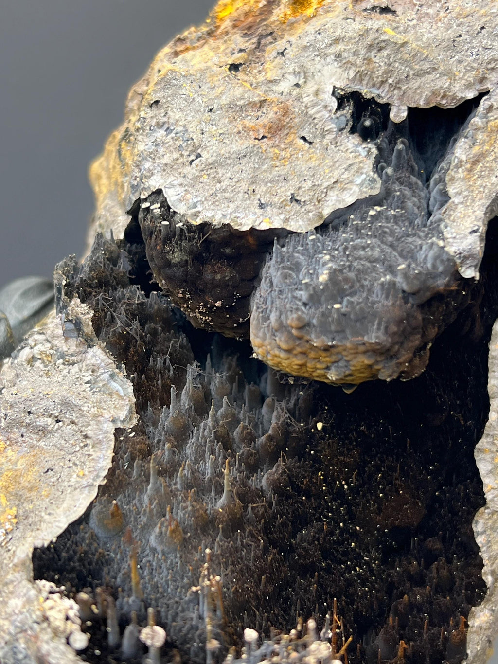 Museum Grade, Cave Shaped Limonite And Specularite On Stalactite Goethite Specimen, For Special Collection - Crystal Gemstone AE 