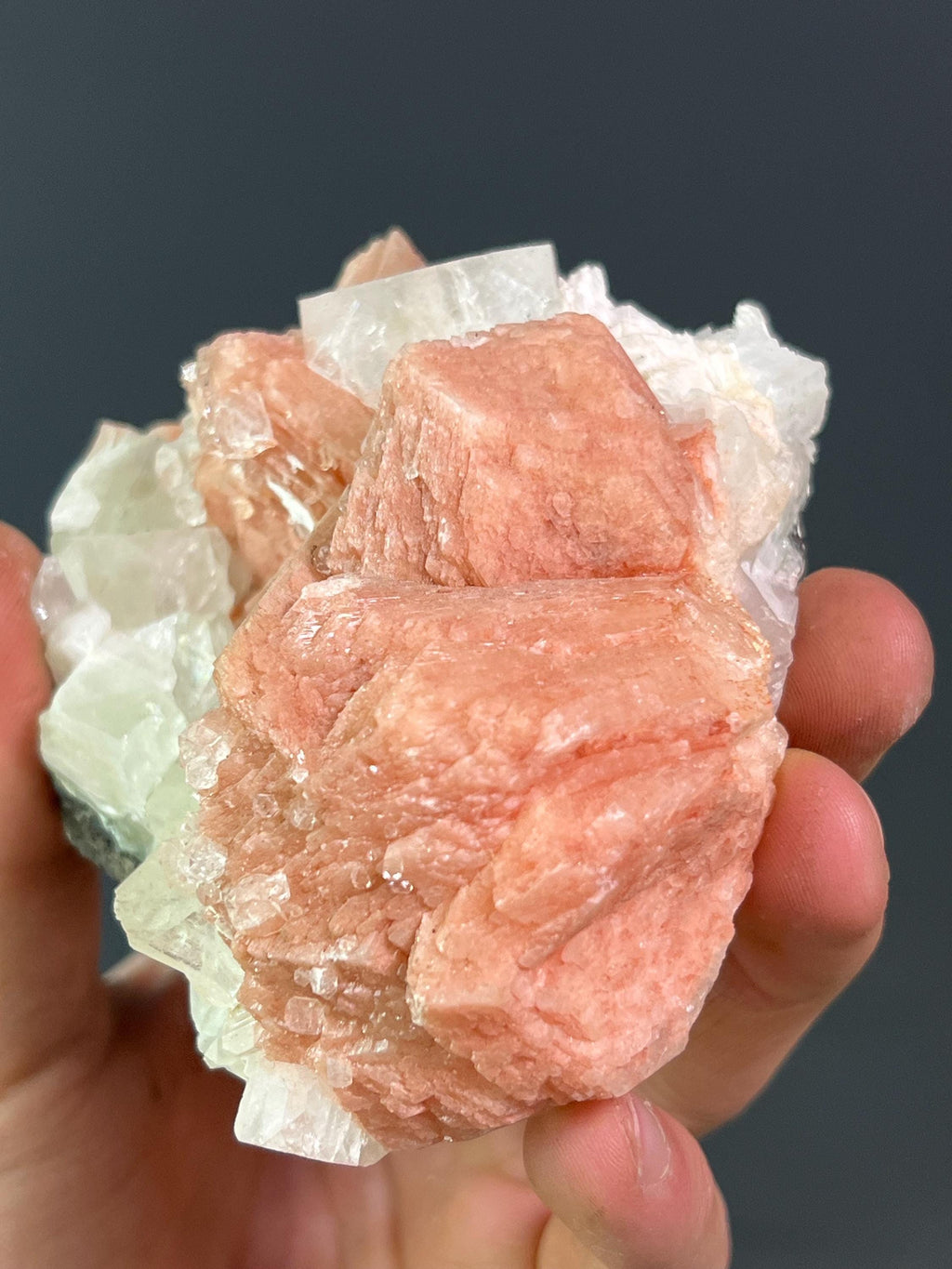 Pink Halite With Apophyllite - Crystal Gemstone AE 