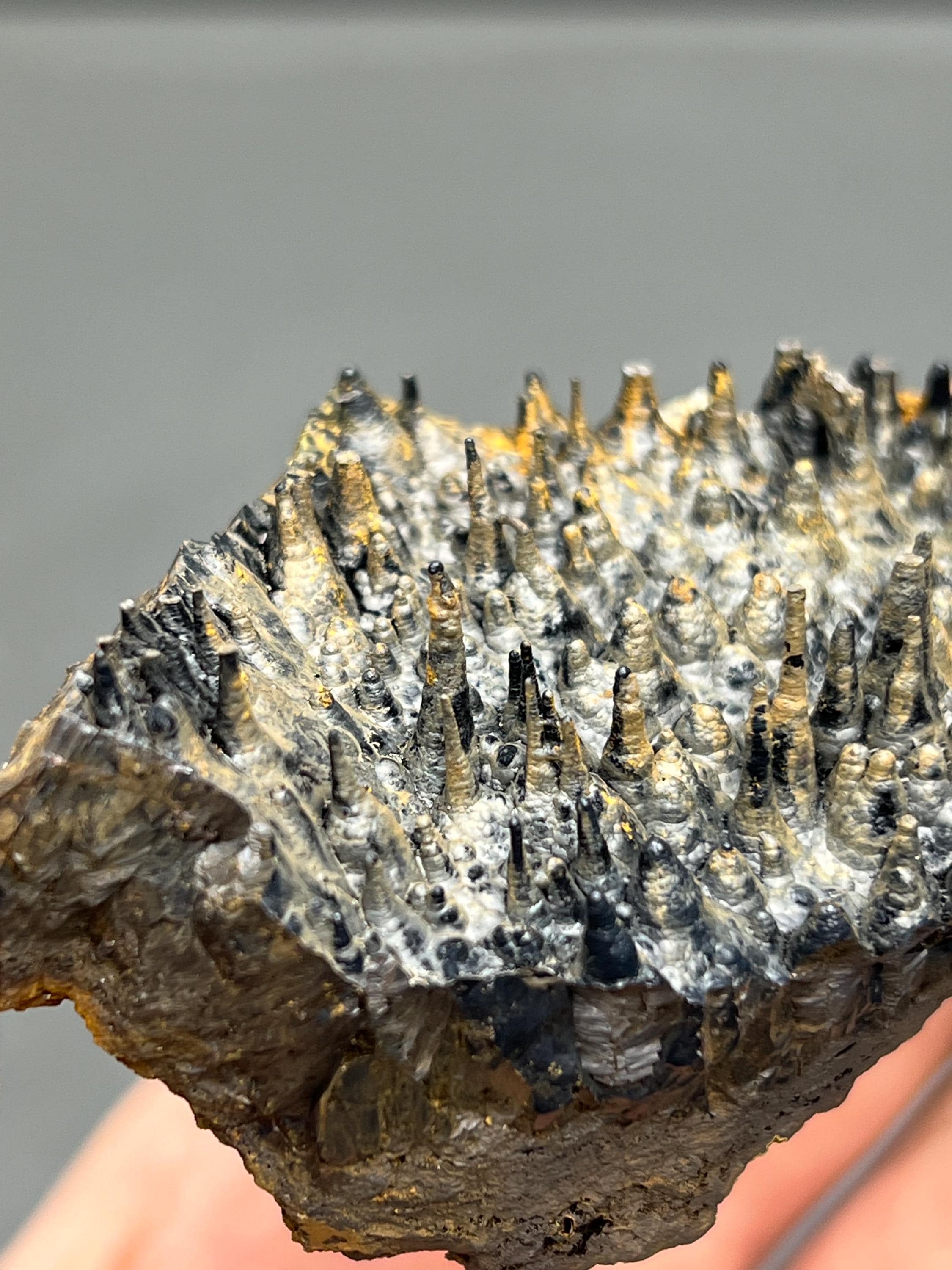 Limonite And Specularite On Stalactite Goethite - Crystal Gemstone AE 