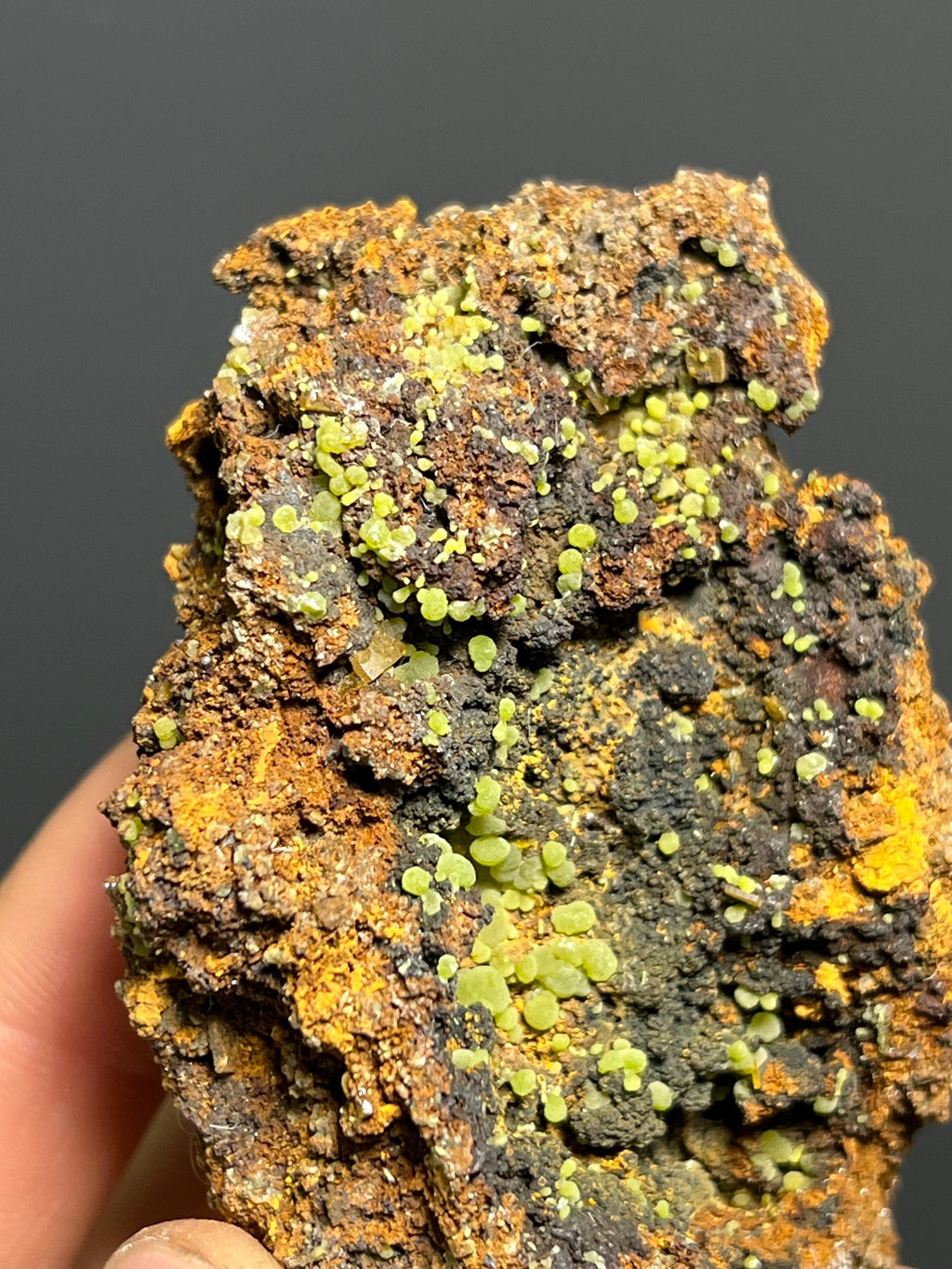 Mexican Mimetite Specimen – Botryoidal Mineral, Honey-Yellow Crystals - Crystal Gemstone AE 