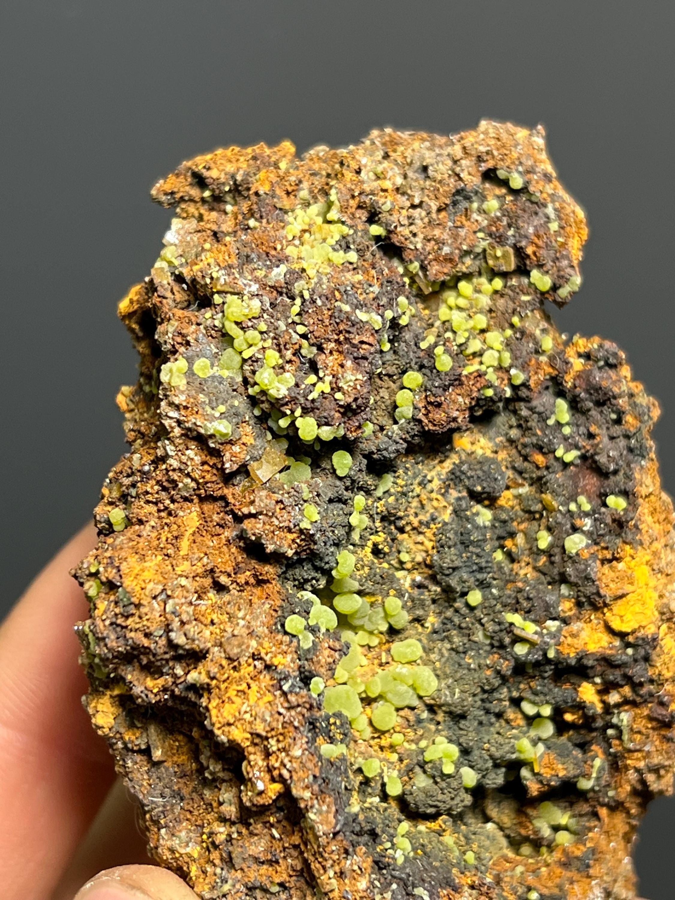 Mexican Mimetite Specimen – Botryoidal Mineral, Honey-Yellow Crystals - Crystal Gemstone AE 