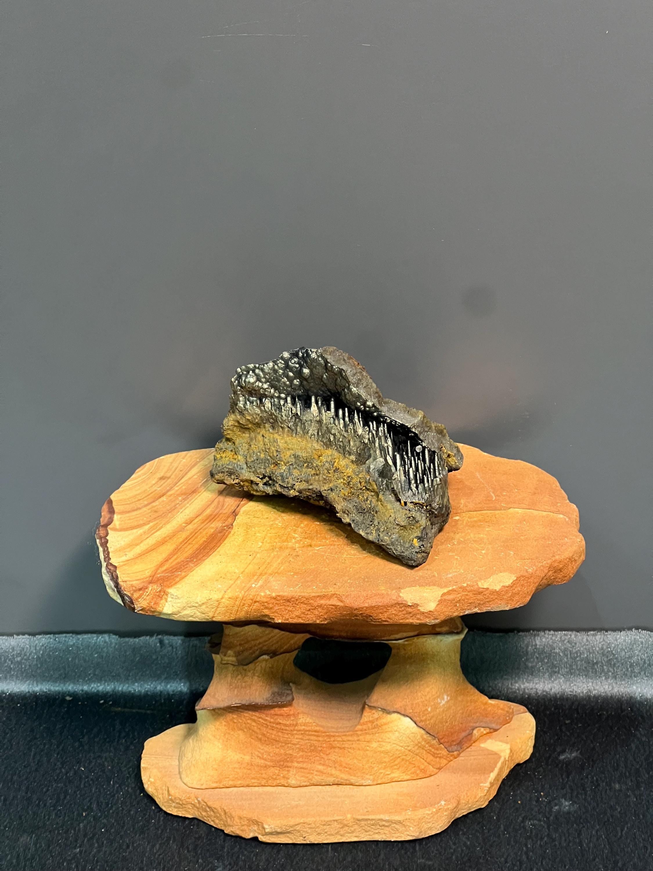 Showy Golden Color Cave Stalactite Goethite Specimen - Crystal Gemstone AE 