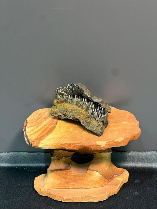 Showy Golden Color Cave Stalactite Goethite Specimen - Crystal Gemstone AE 