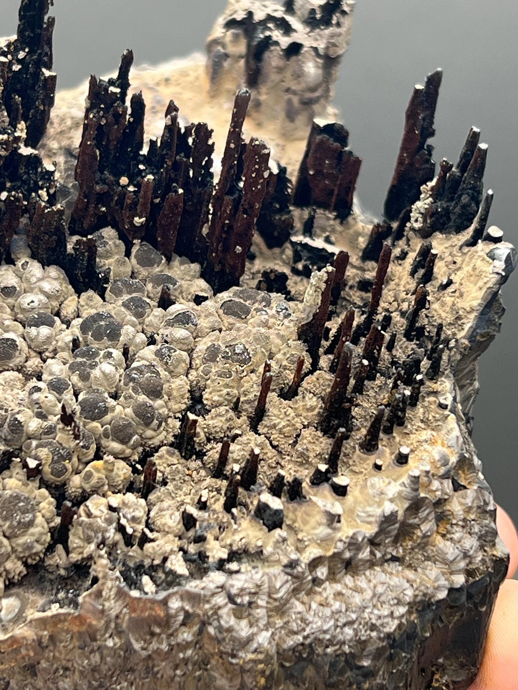 Museum Grade Limonite And Specularite On Stalactite Goethite - Crystal Gemstone AE 