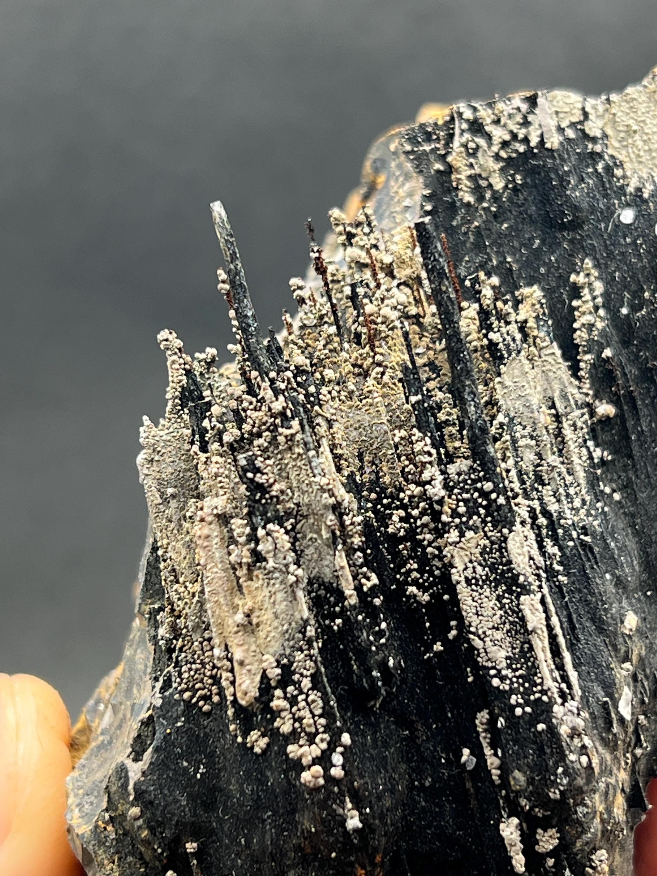 Showy Limonite And Specularite On Stalactite Goethite - Crystal Gemstone AE 