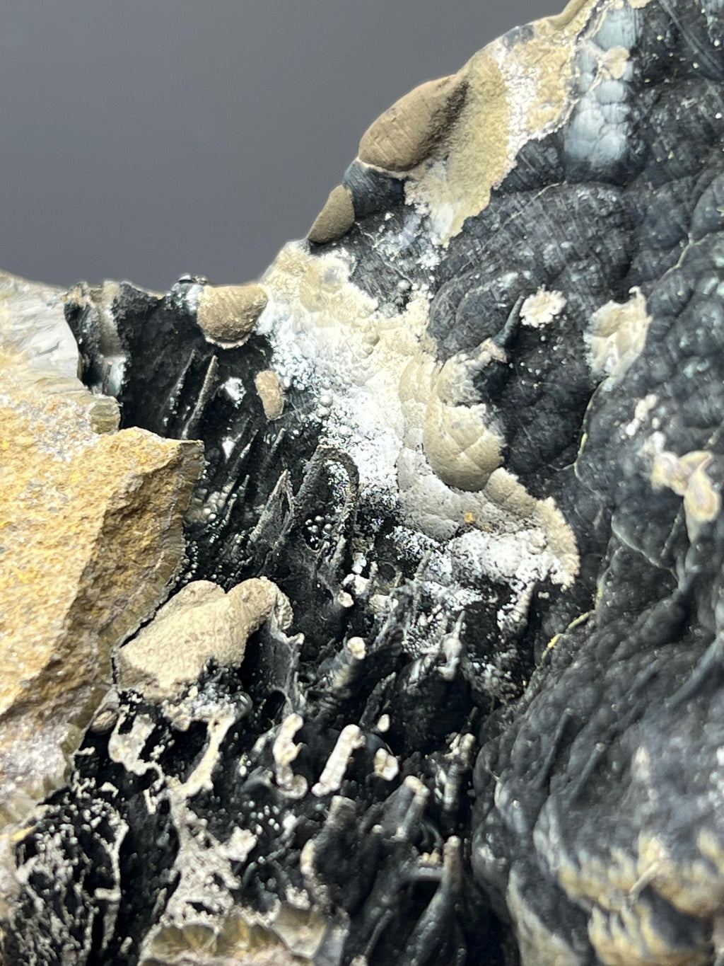 Museum Grade Limonite With Spider Web Formation Stalactite Goethite - Crystal Gemstone AE 