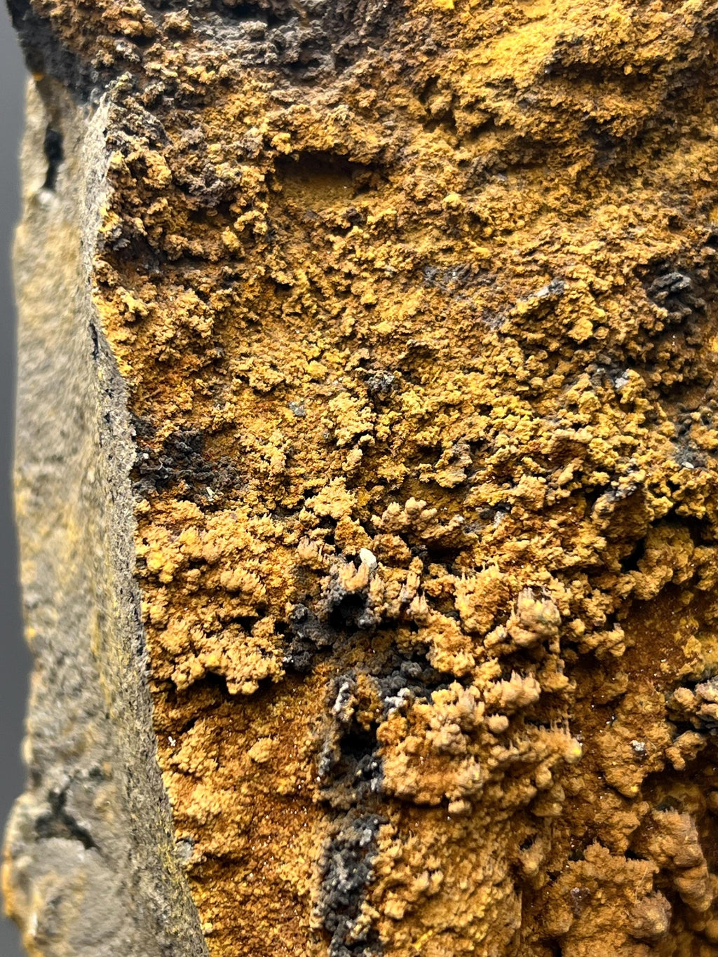 Limonite With Small Stalactites Goethite Specimen - Crystal Gemstone AE 
