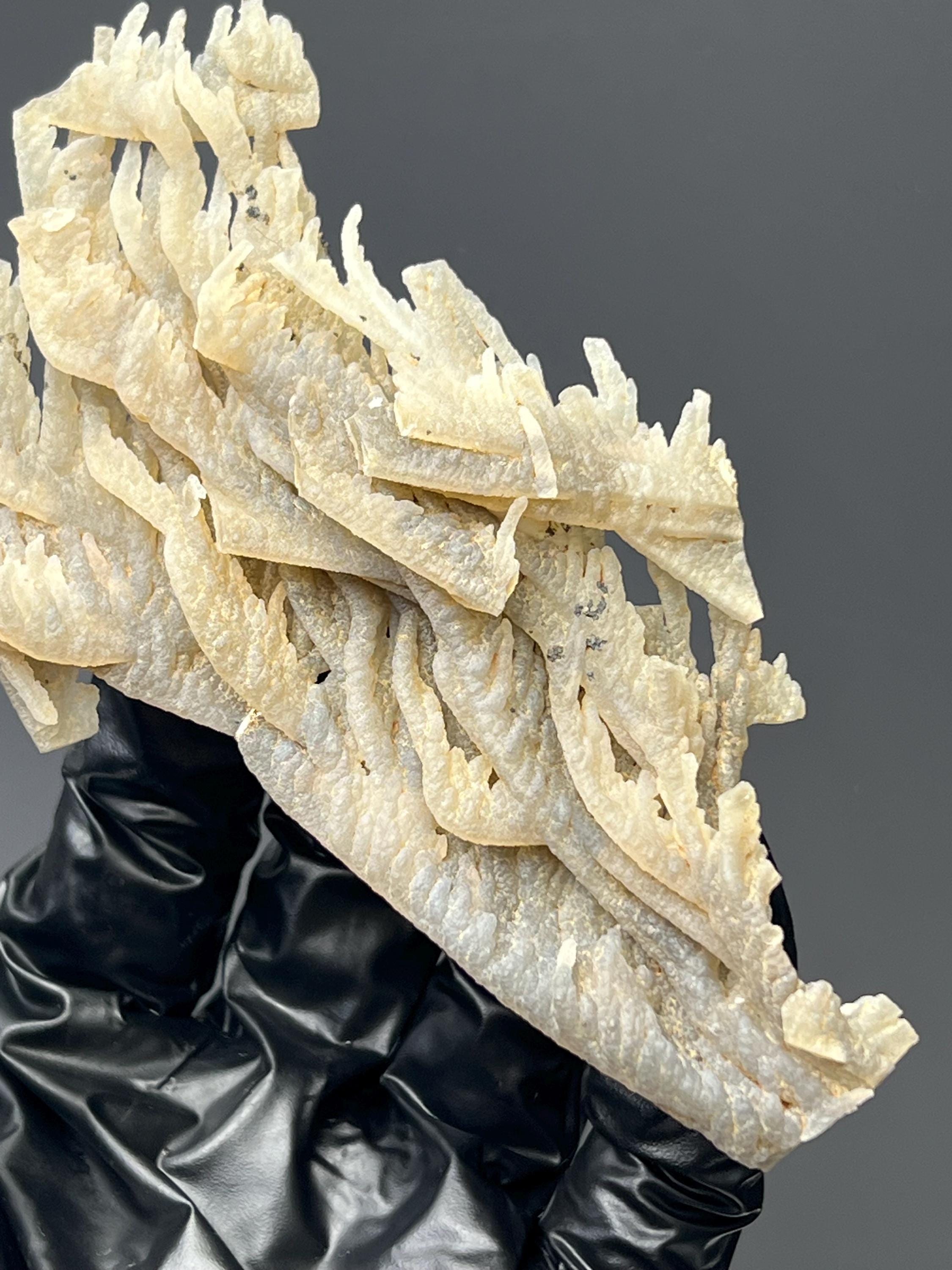 Special Stalactite Chalcedony Specimen - Crystal Gemstone AE 