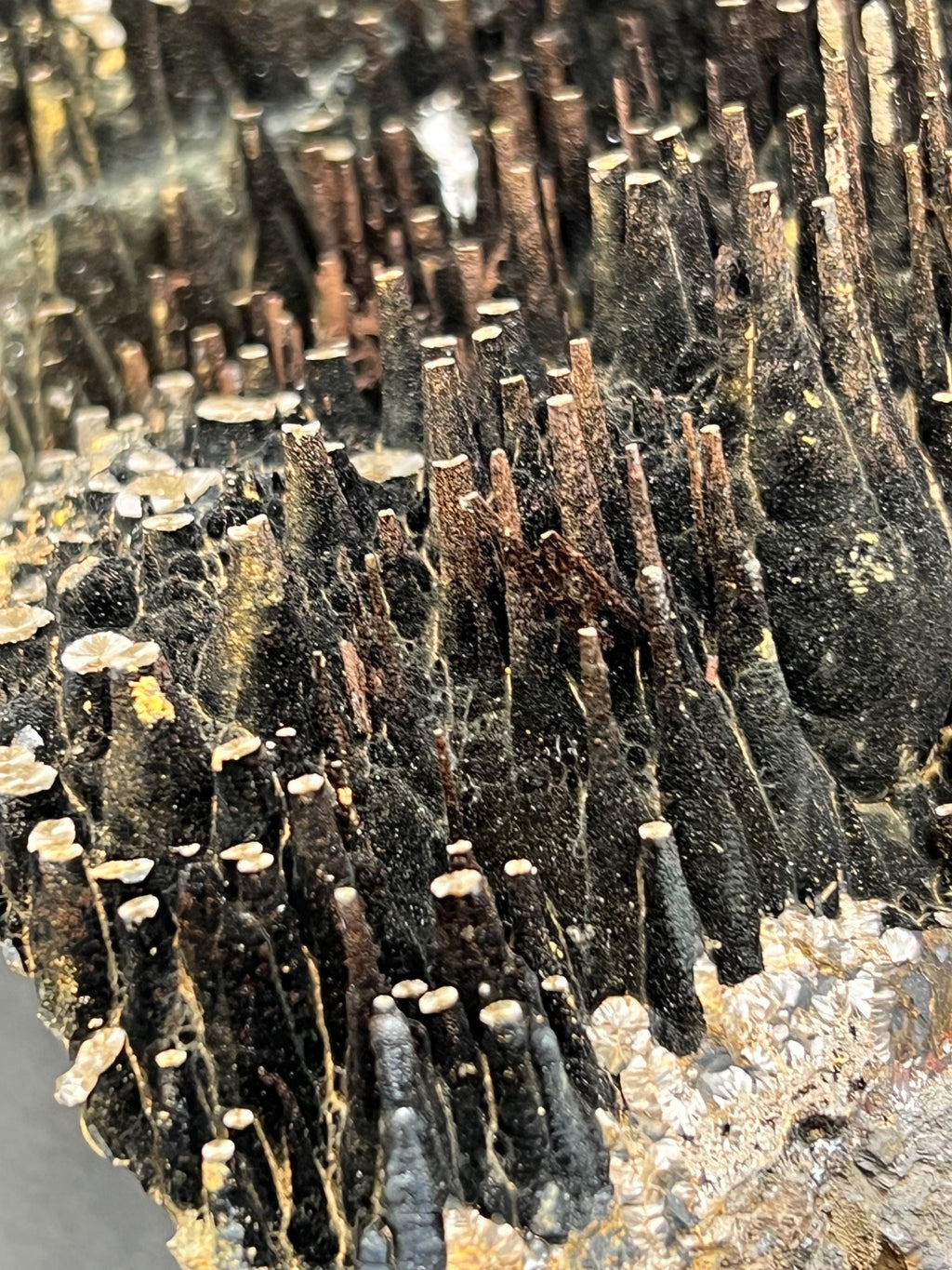 Museum Grade Limonite On Stalactite Goethite - Crystal Gemstone AE 