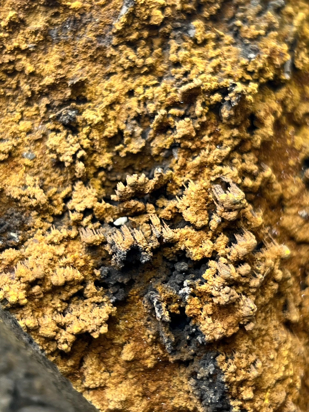 Limonite With Small Stalactites Goethite Specimen - Crystal Gemstone AE 