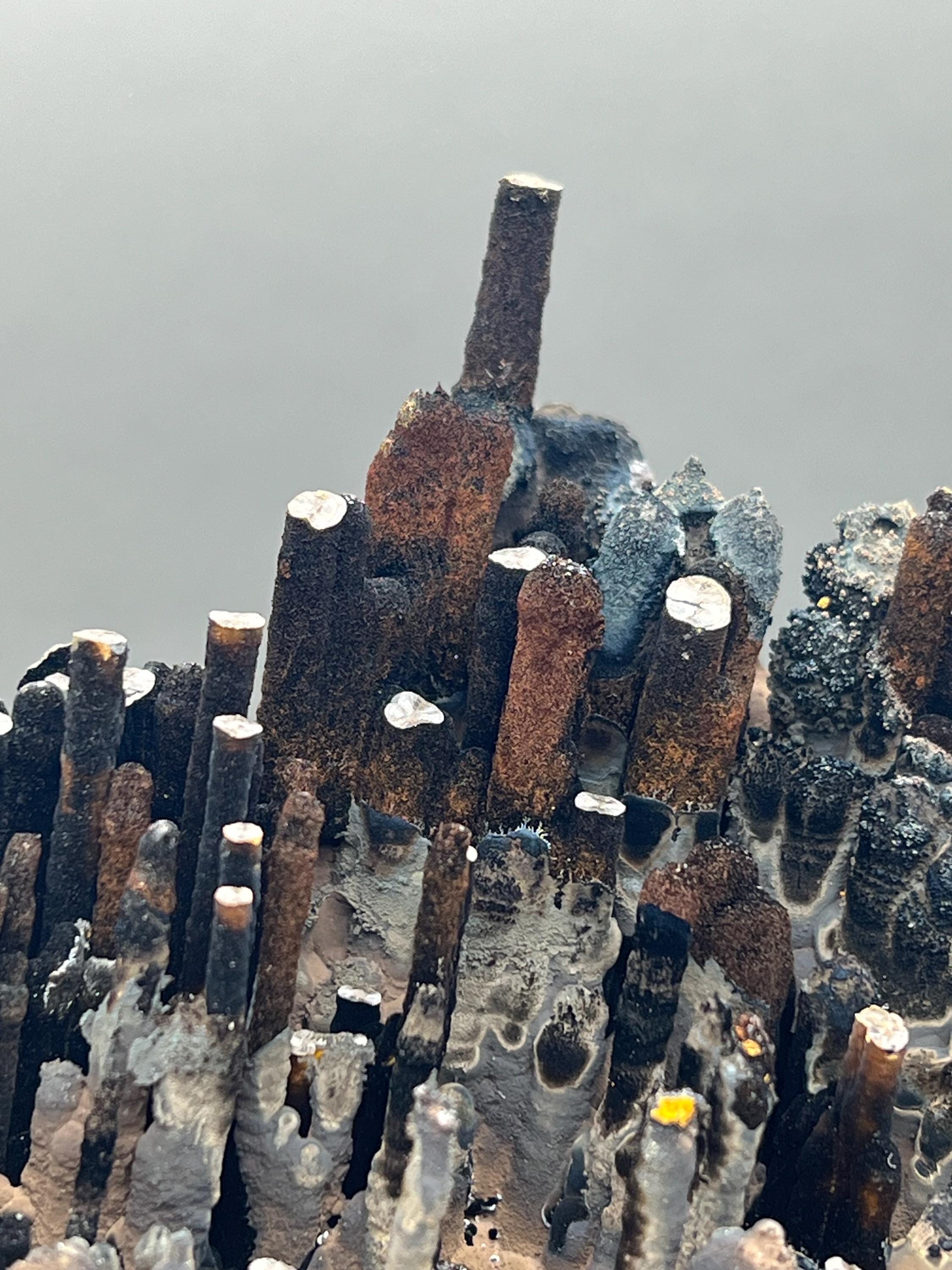Limonite And Specularite on Goethite Stalactite, Rare Mineral Specimen - Crystal Gemstone AE 