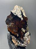 Museum Grade Showy Limonite And Specularite On Stalactite Goethite, For Special Collection Piece - Crystal Gemstone AE 