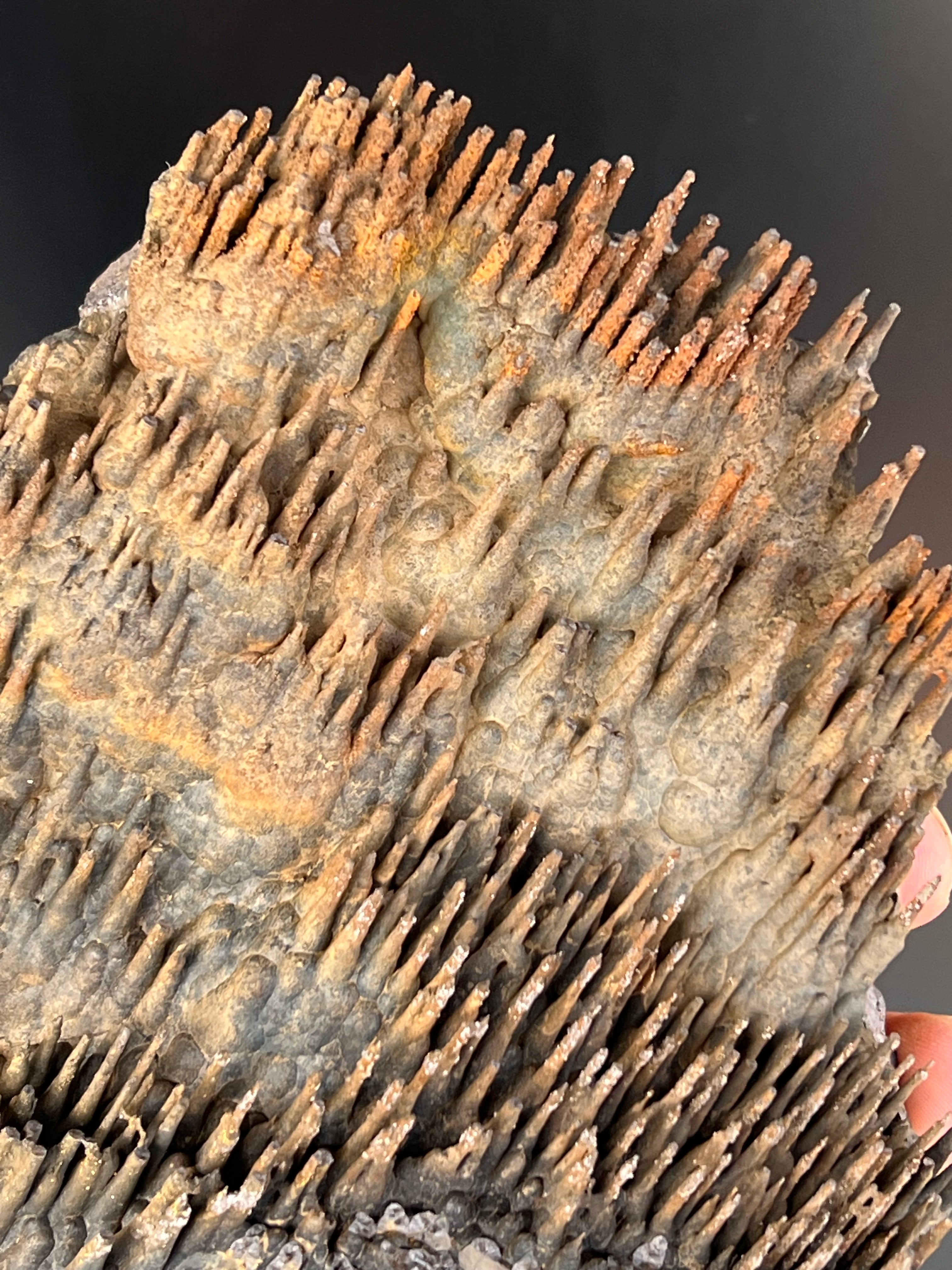 Museum Grade Limonite With Stalactite Goethite
