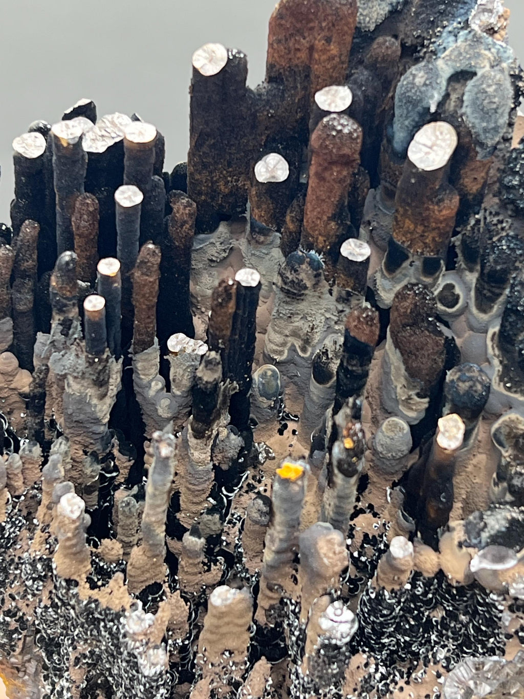 Limonite And Specularite on Goethite Stalactite, Rare Mineral Specimen - Crystal Gemstone AE 