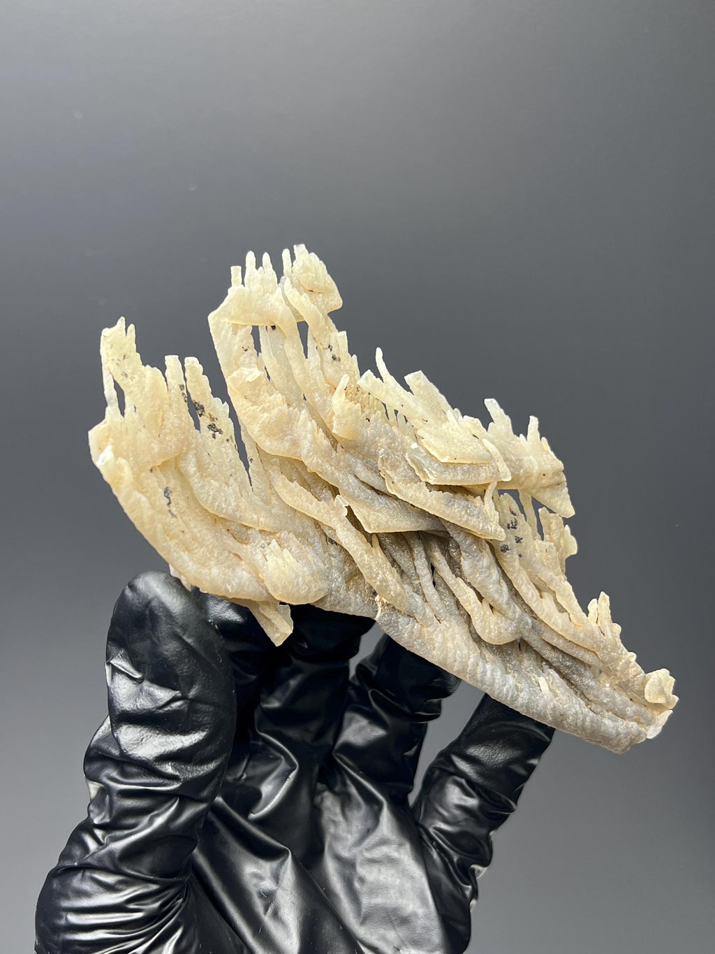Special Stalactite Chalcedony Specimen - Crystal Gemstone AE 
