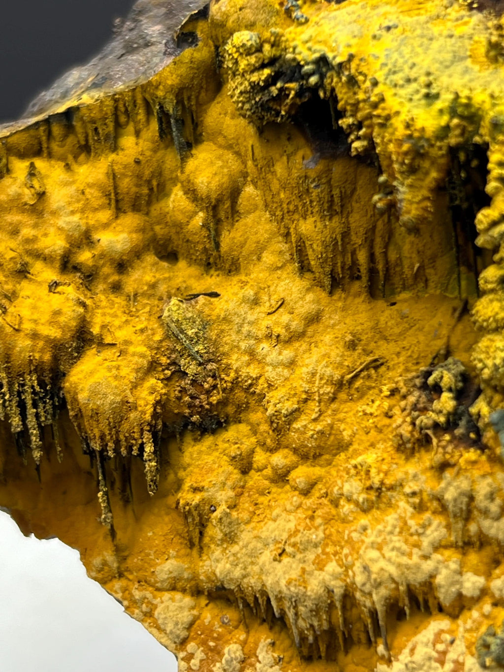 Very Special, Limonite With Botryoidal And Stalactite Formation Goethite - Crystal Gemstone AE 