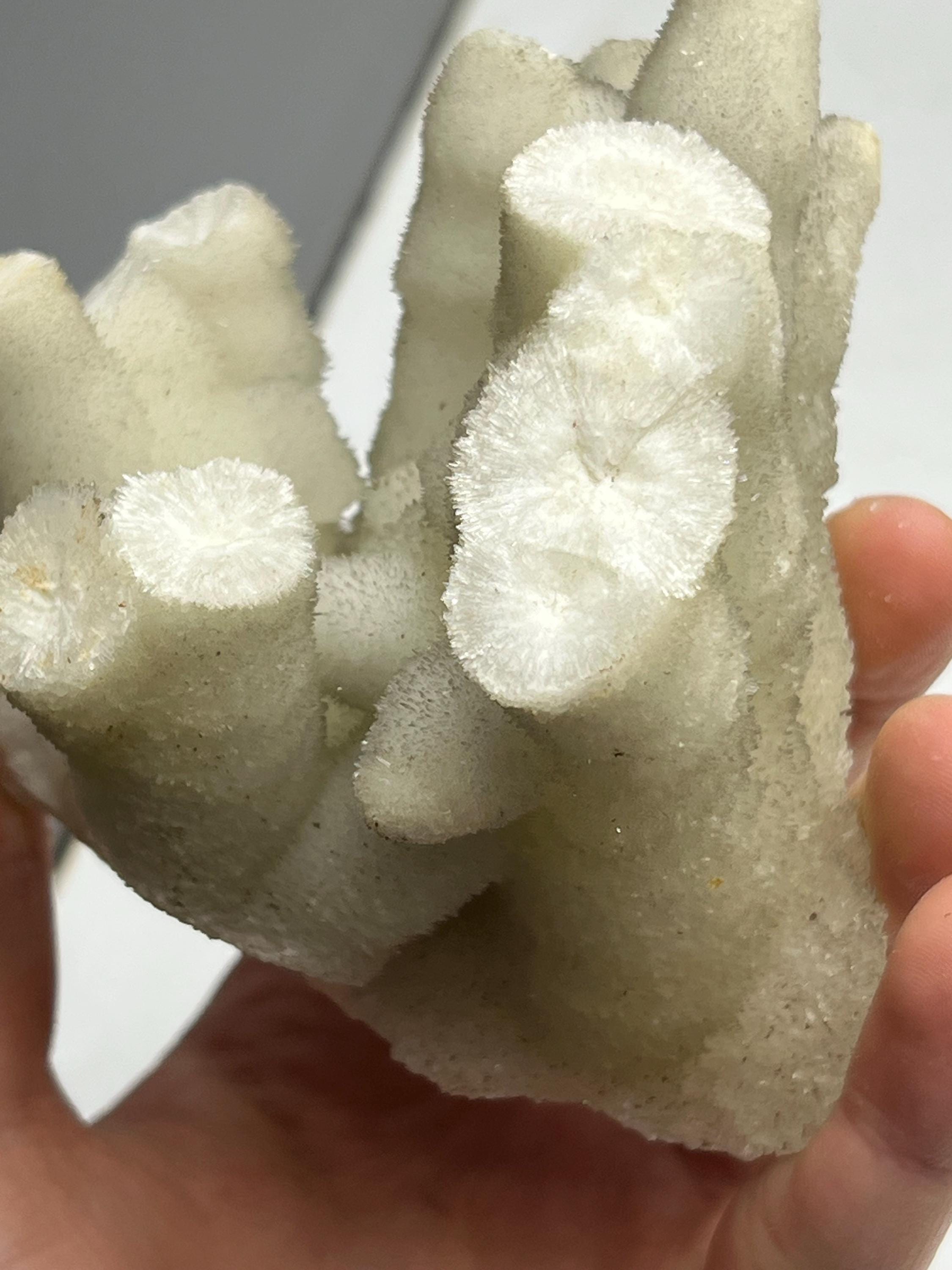 Special And Showy Stalactite Aragonite Mineral, From Turkey - Crystal Gemstone AE 