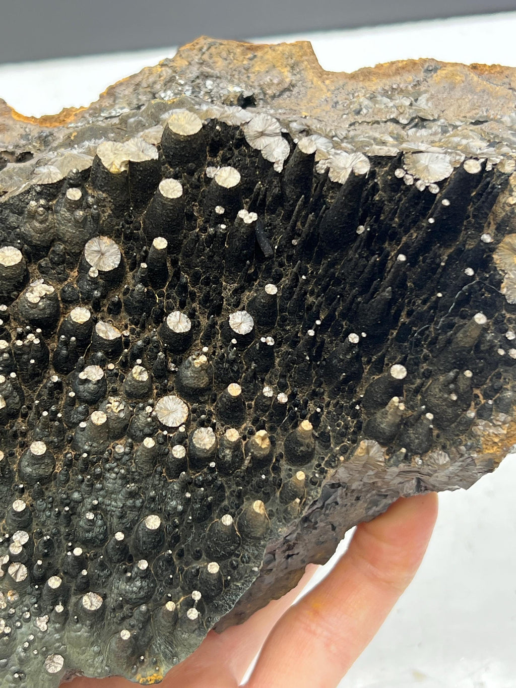 Museum quality, Very Special Extra Large stalactite Goethite, Special Collection Piece - Crystal Gemstone AE 