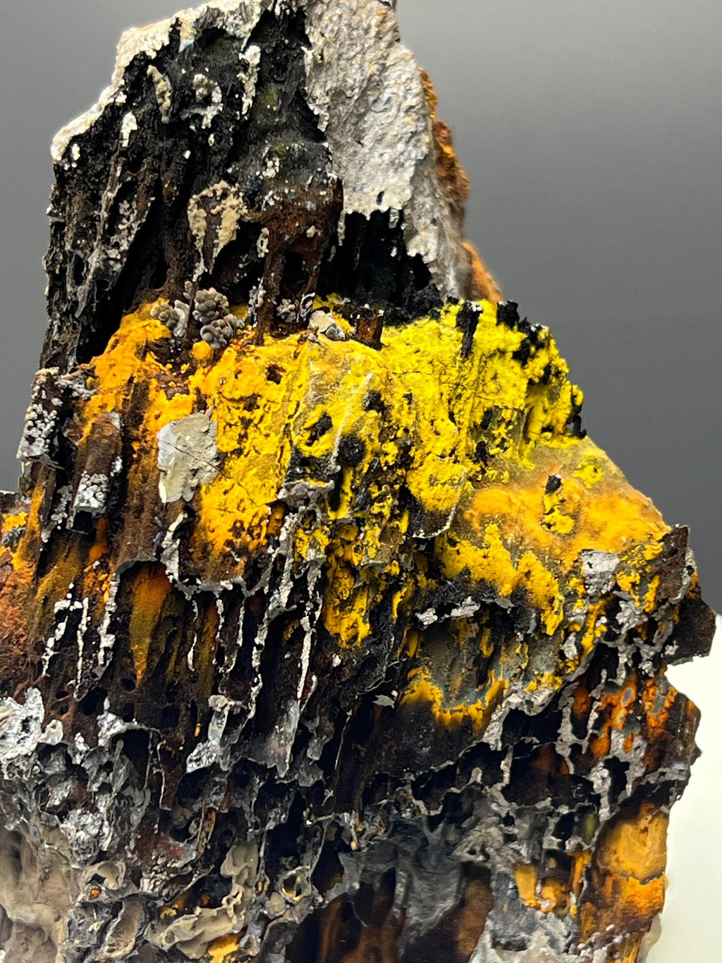 Very Showy, Limonite And Specularite With Stalactite Goethite Specimen, For Special Collection - Crystal Gemstone AE 