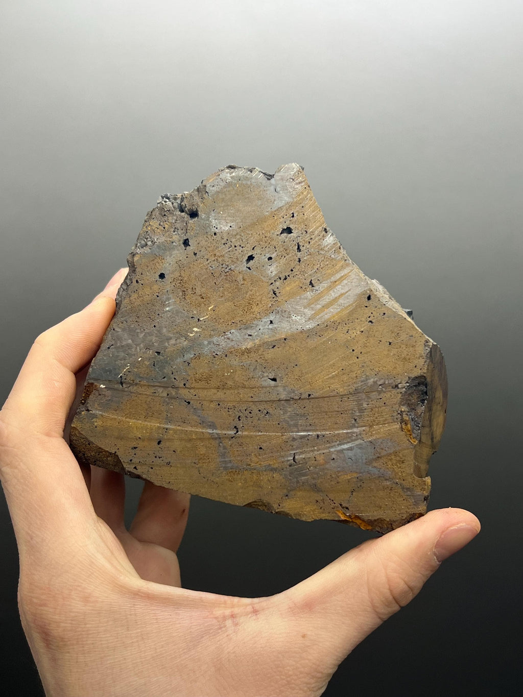 Very Special, Limonite And Specularite On Stalactite And Botryoidal Formed Goethite - Crystal Gemstone AE 